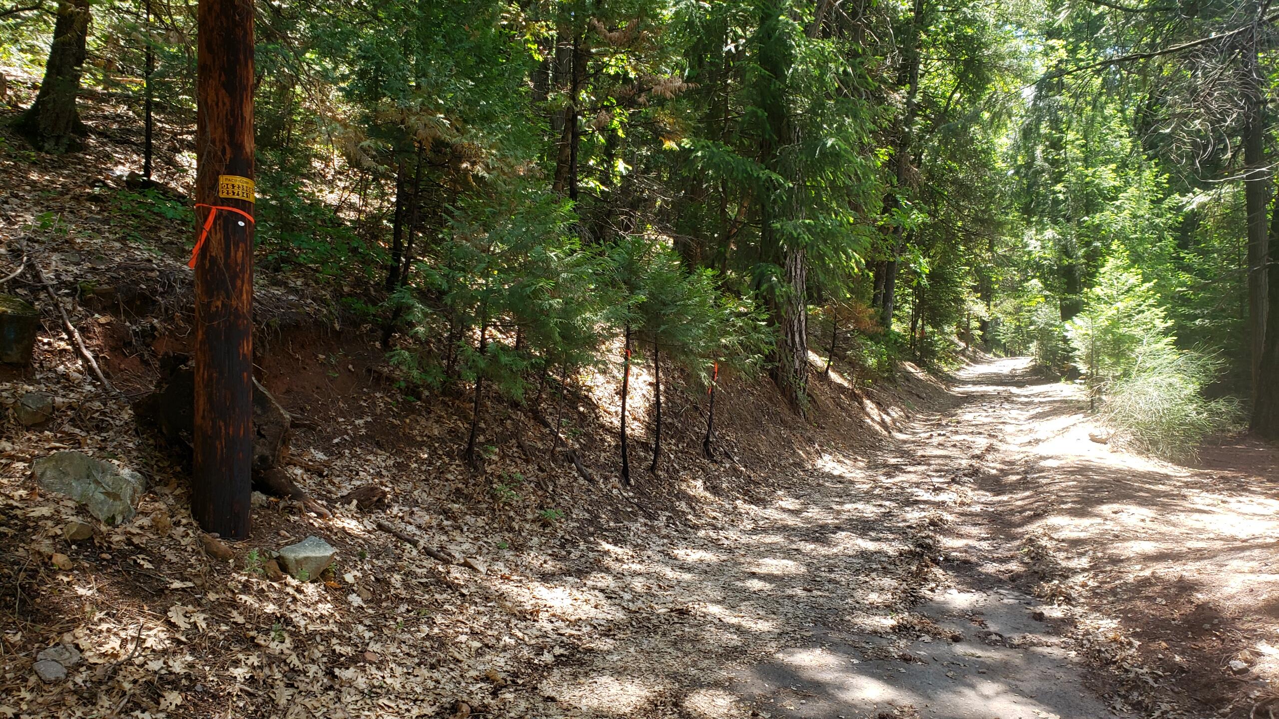 0 Upper River Ave, Dunsmuir, CA 96025