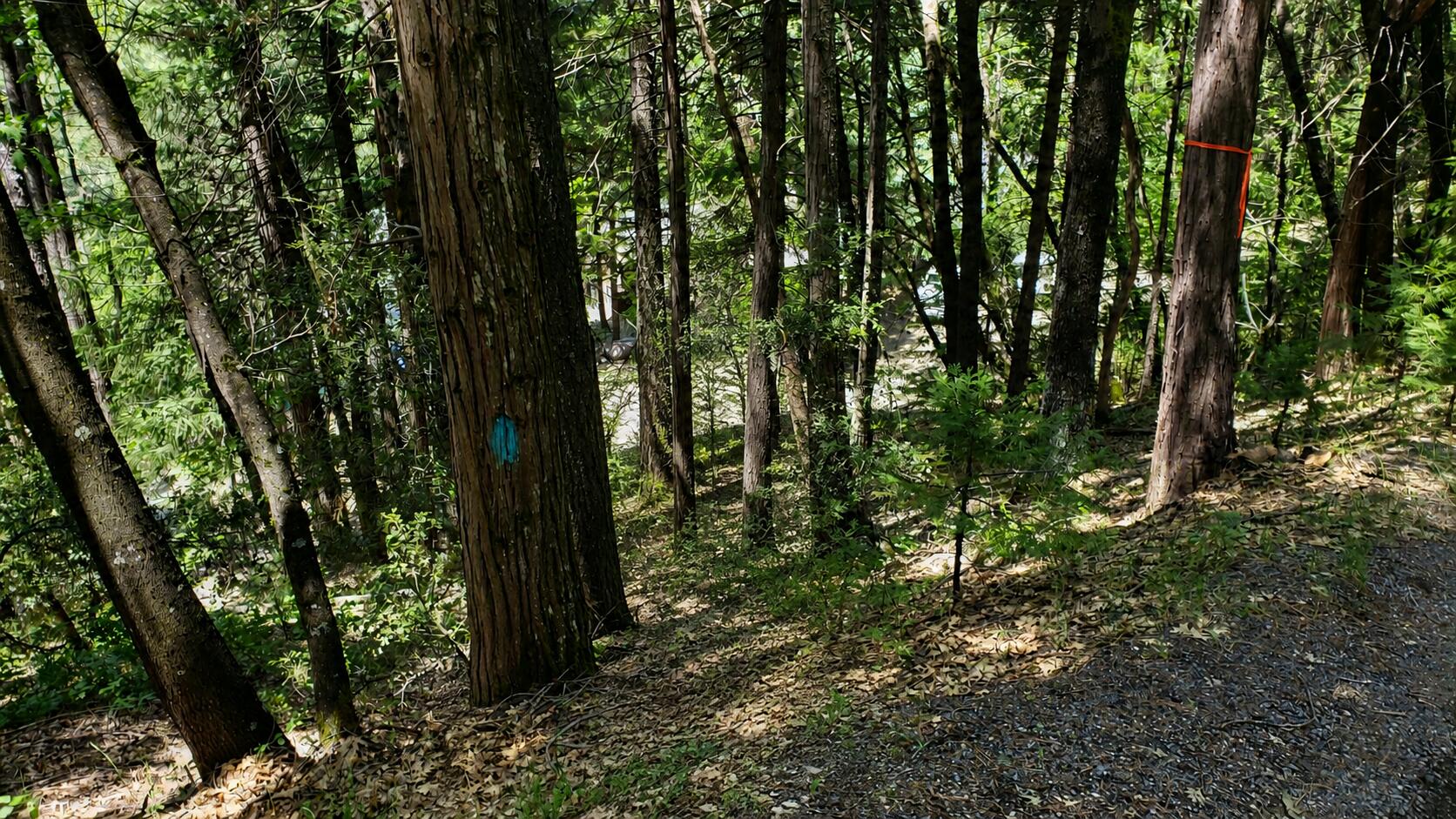 0 Upper River Ave, Dunsmuir, CA 96025