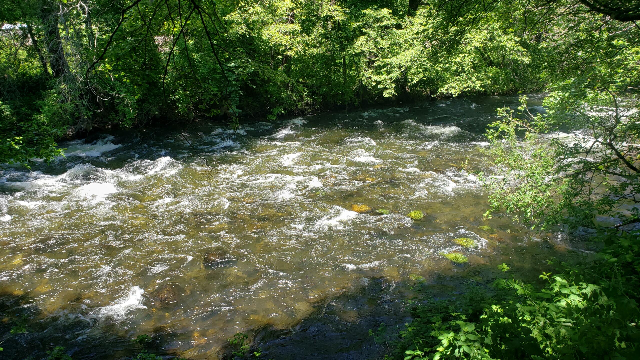 0 Upper River Ave, Dunsmuir, CA 96025