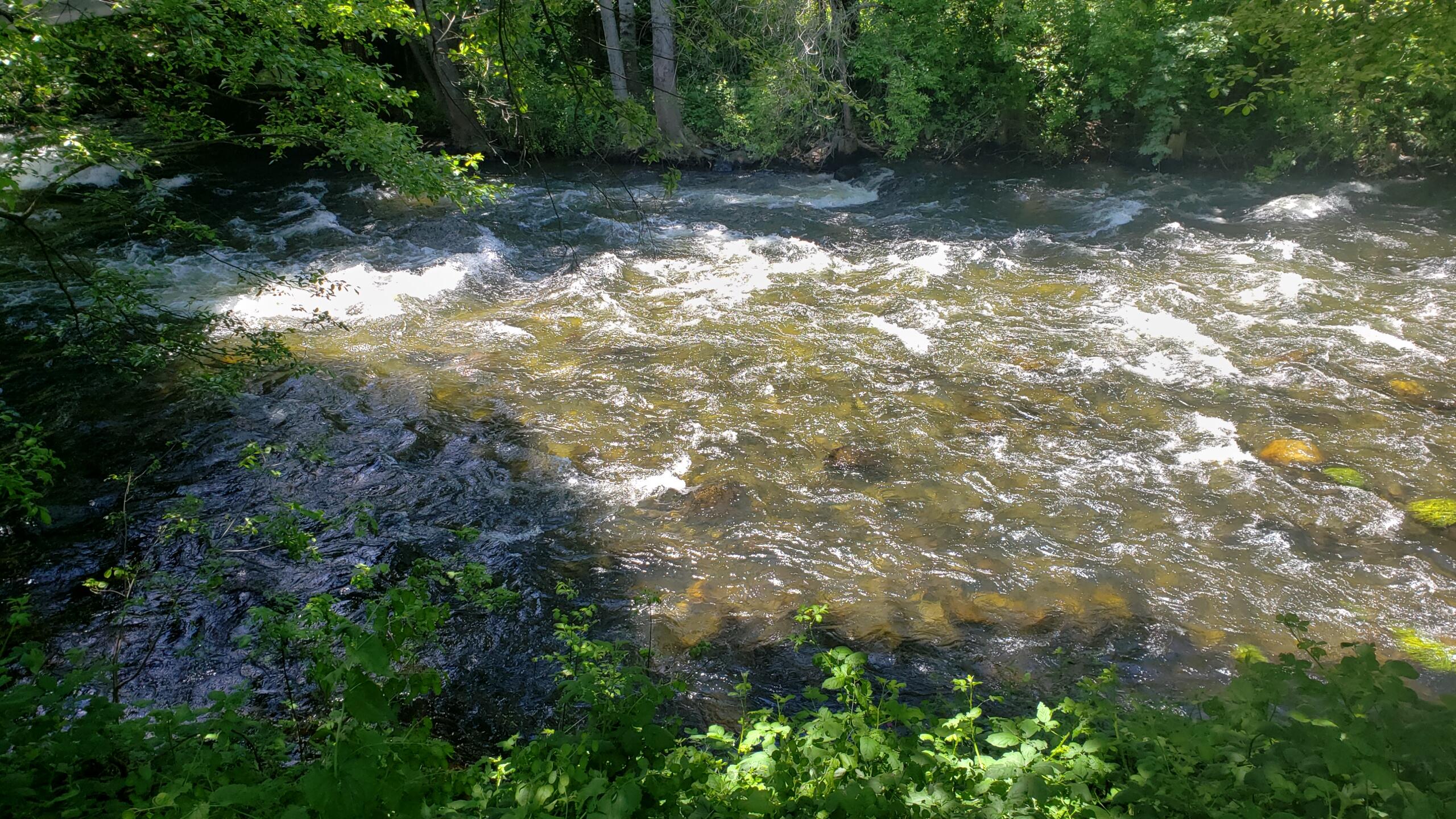 0 Upper River Ave, Dunsmuir, CA 96025