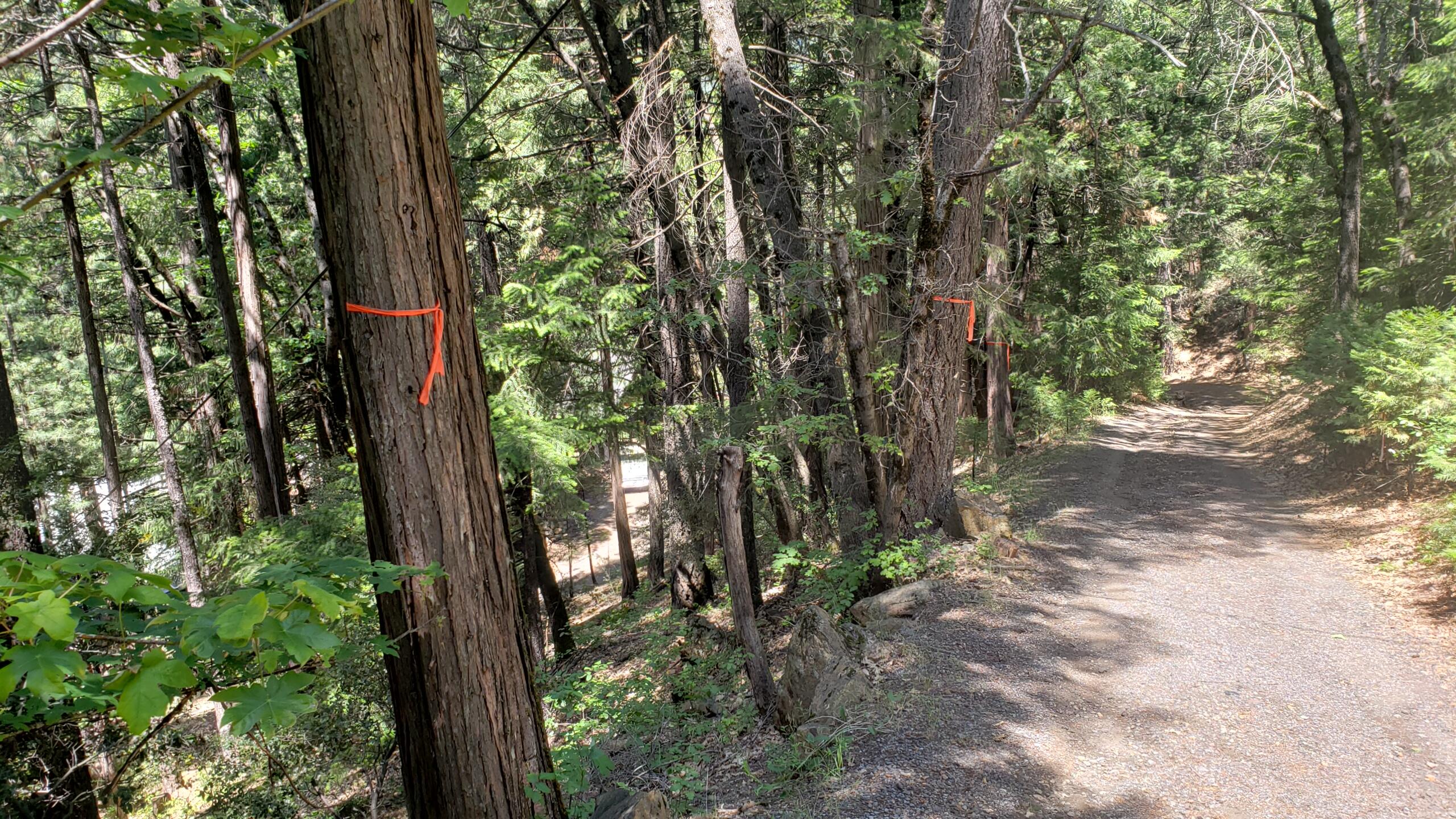0 Upper River Ave, Dunsmuir, CA 96025