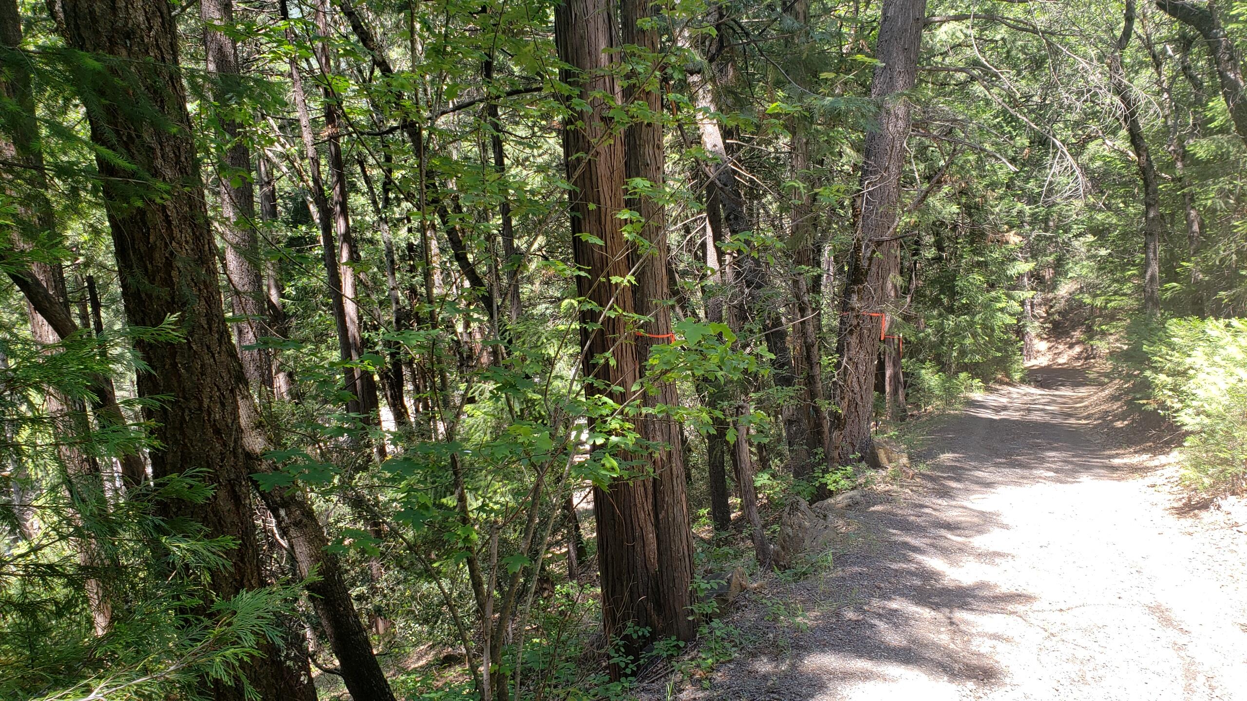 0 Upper River Ave, Dunsmuir, CA 96025