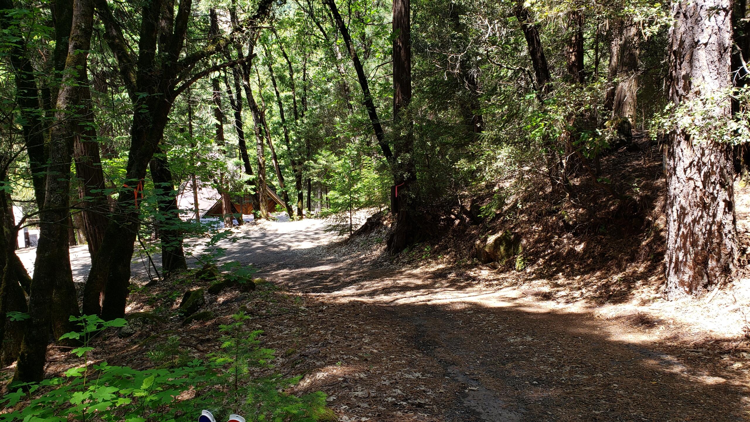 0 Upper River Ave, Dunsmuir, CA 96025