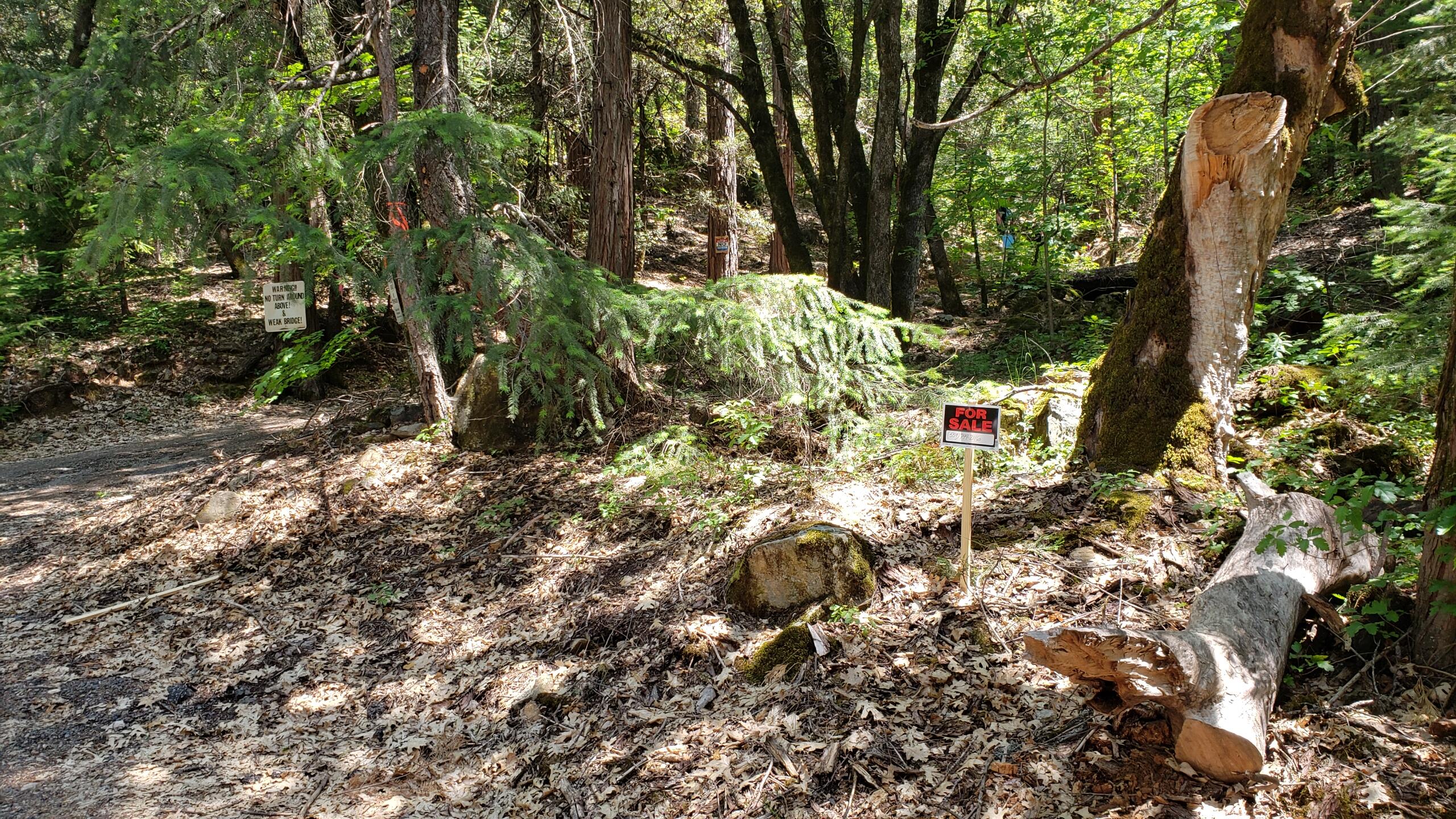 0 Upper River Ave, Dunsmuir, CA 96025