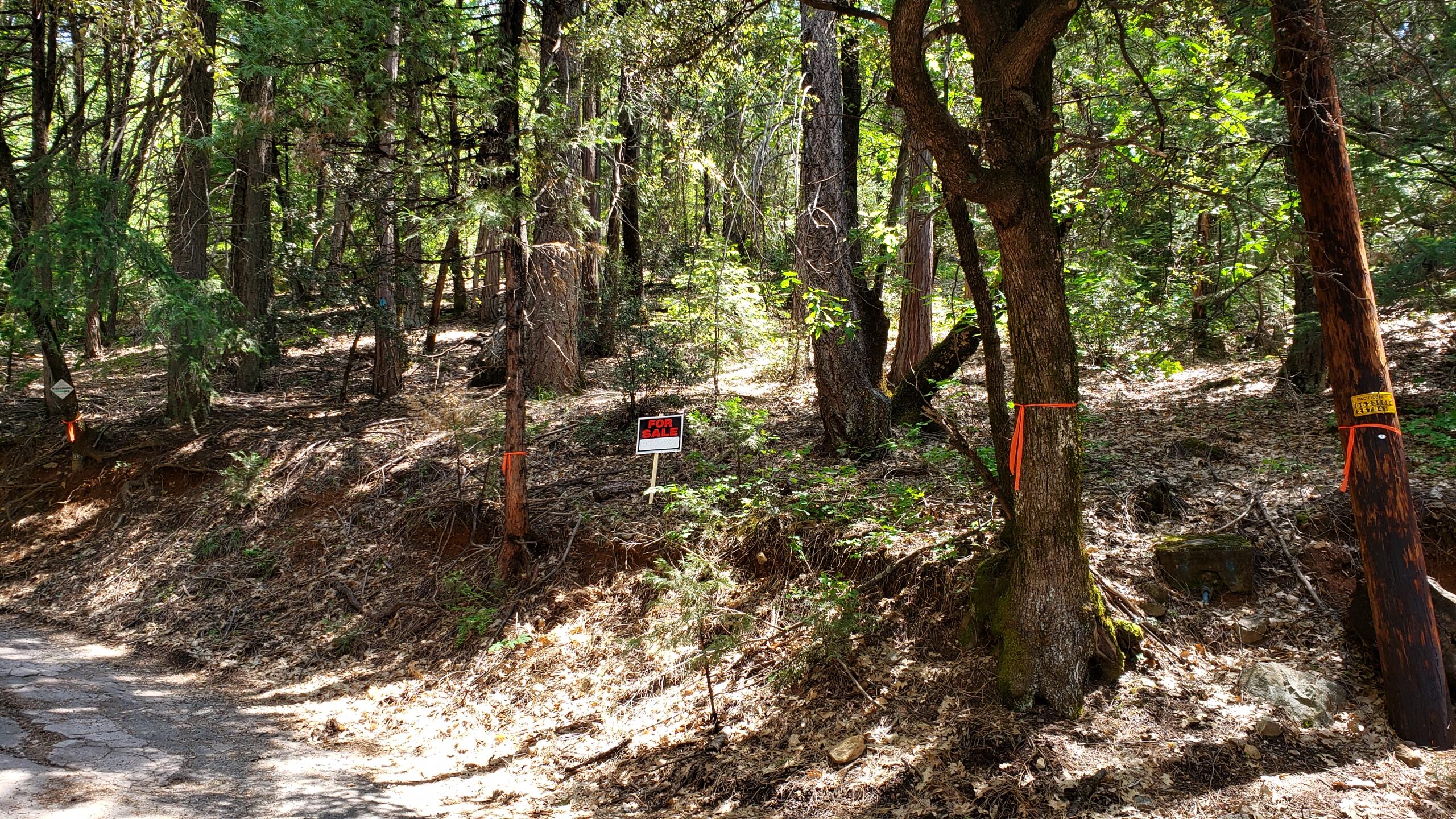 0 Upper River Ave, Dunsmuir, CA 96025