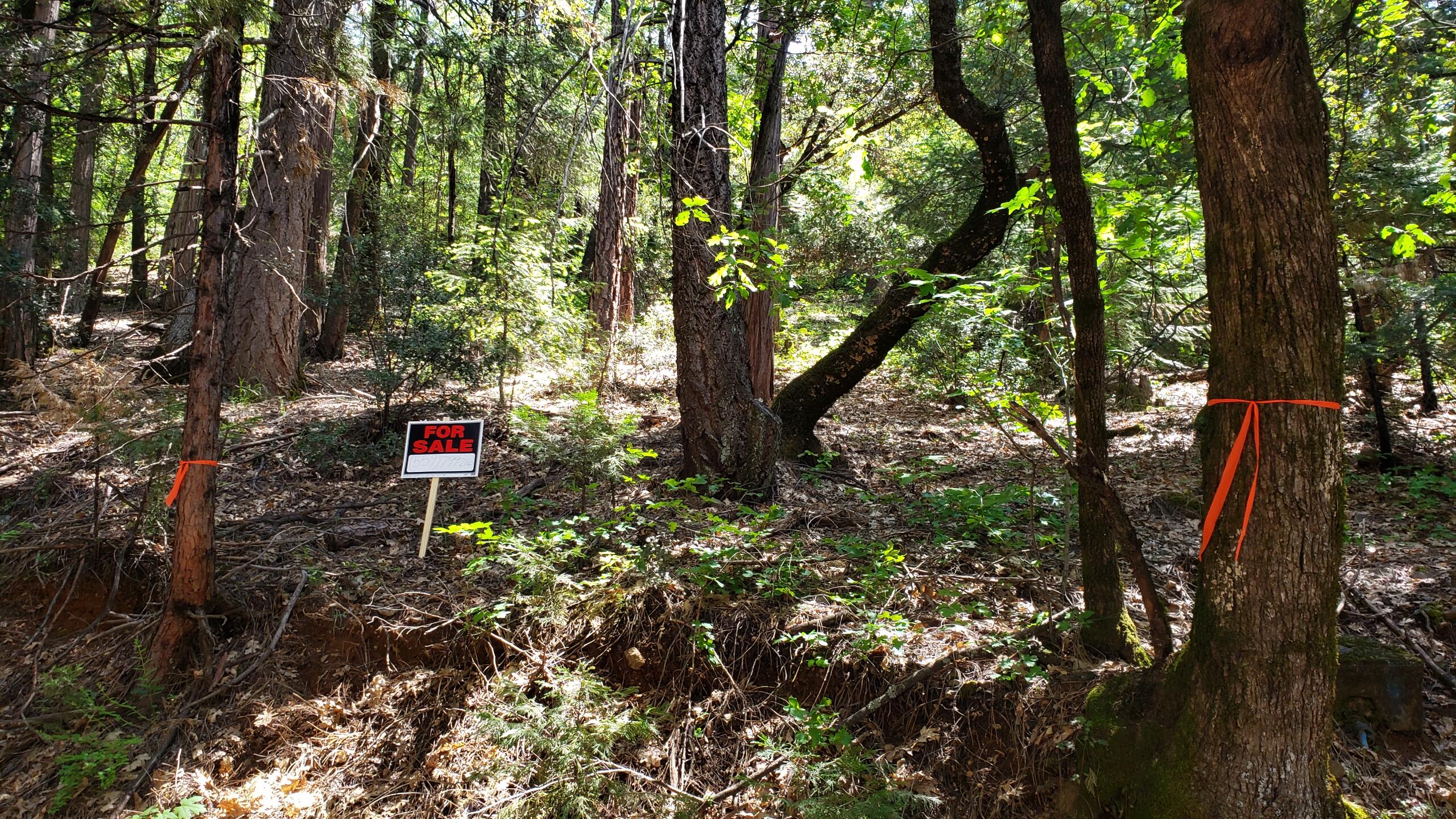0 Upper River Ave, Dunsmuir, CA 96025