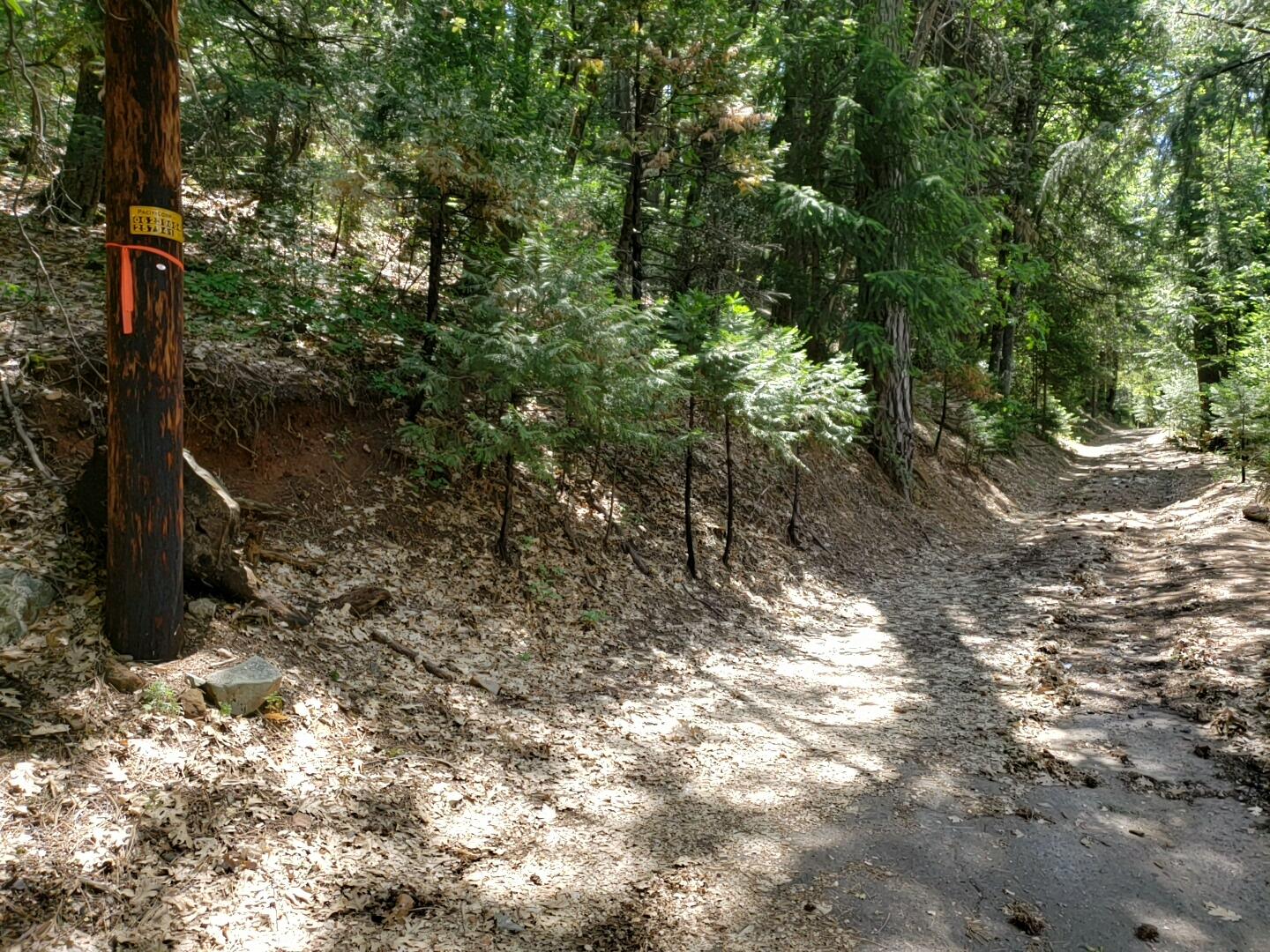 0 Upper River Ave, Dunsmuir, CA 96025