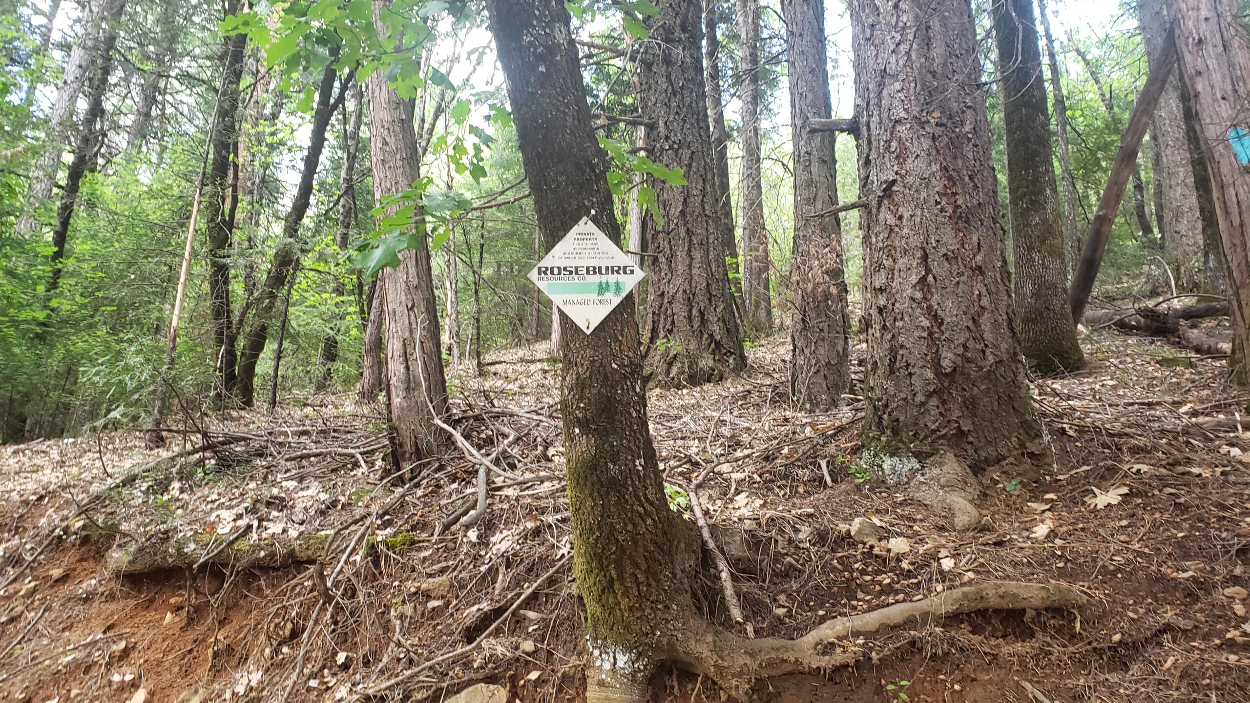 0 Upper River Ave, Dunsmuir, CA 96025