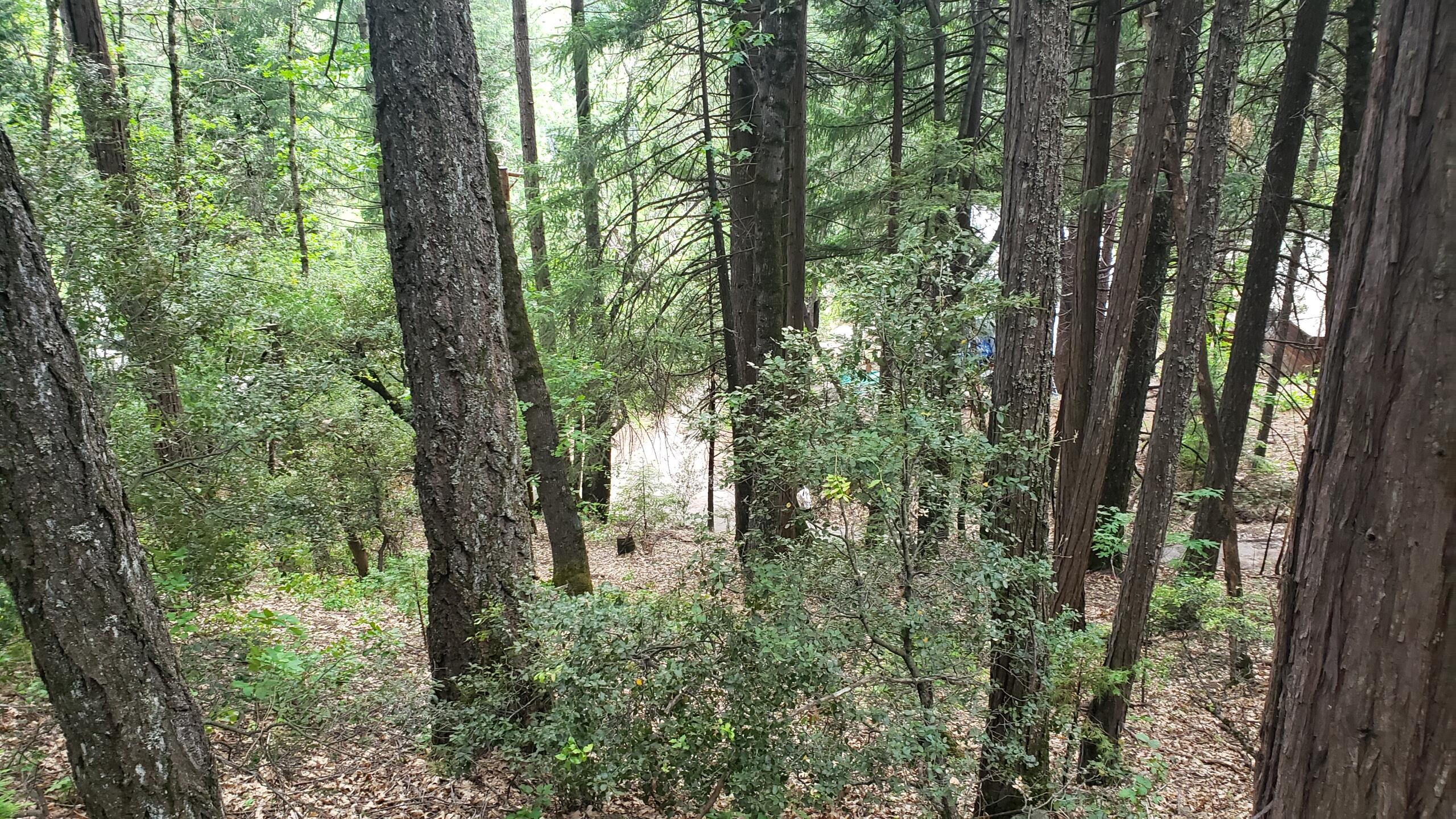 0 Upper River Ave, Dunsmuir, CA 96025