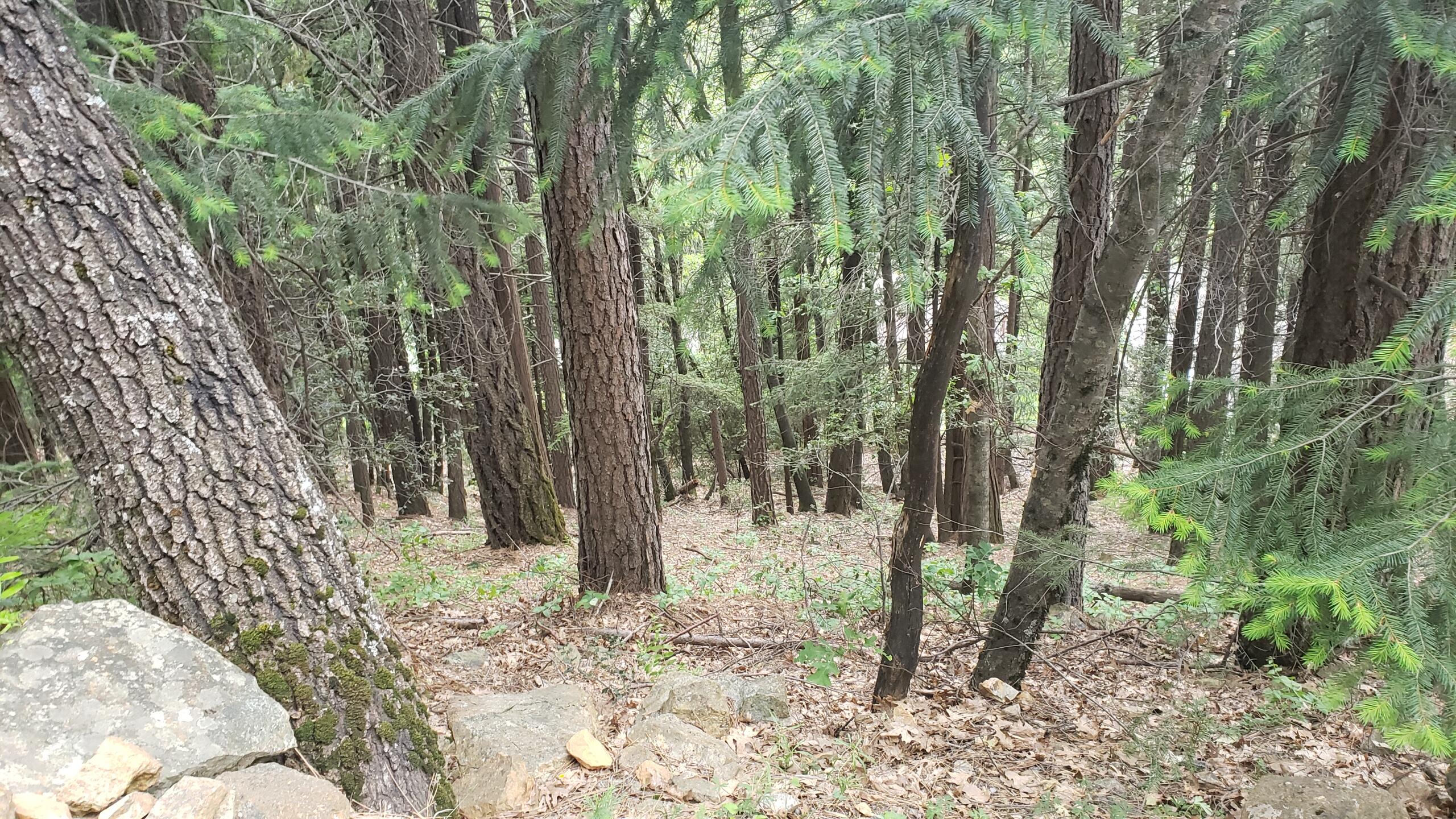 0 Upper River Ave, Dunsmuir, CA 96025