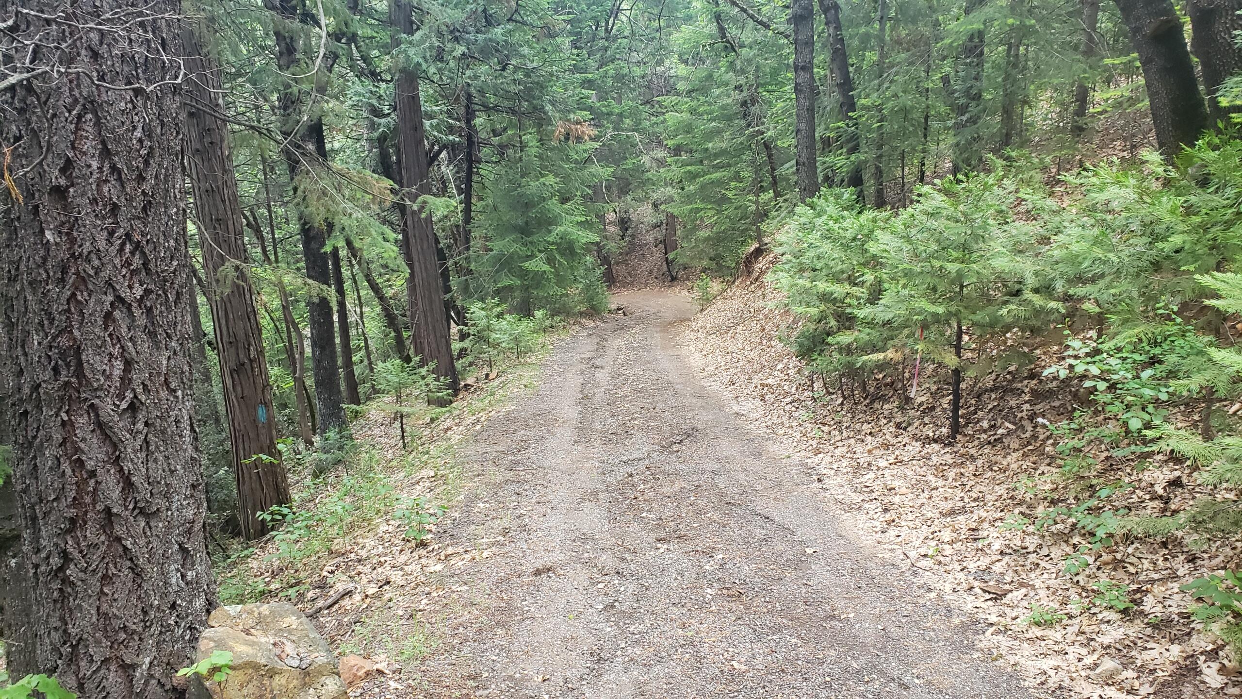 0 Upper River Ave, Dunsmuir, CA 96025