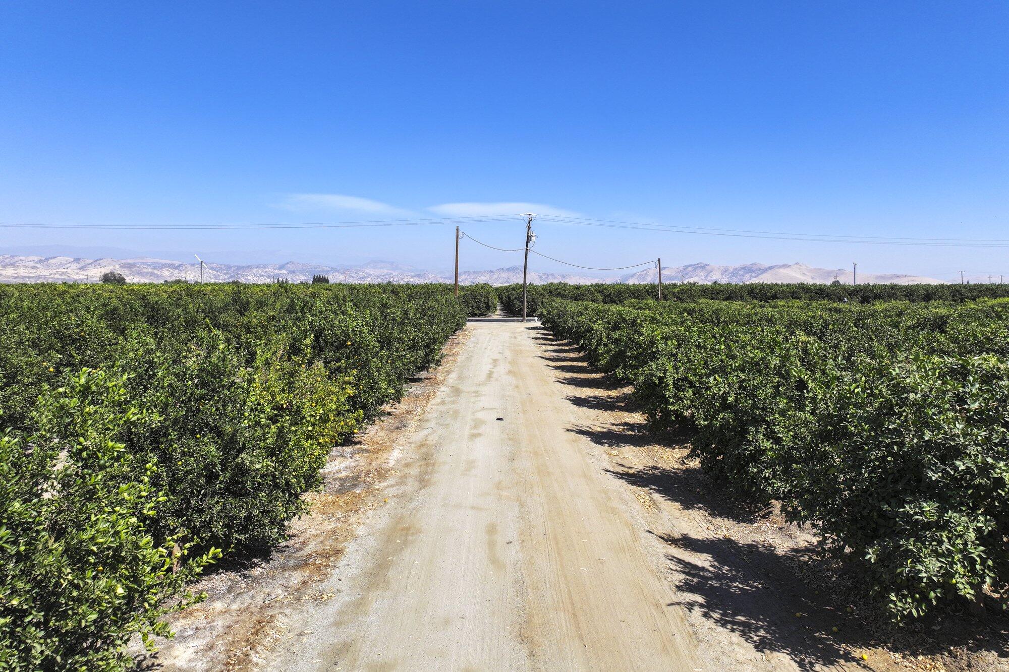 0 Ave. 424, Dinuba, CA 93618