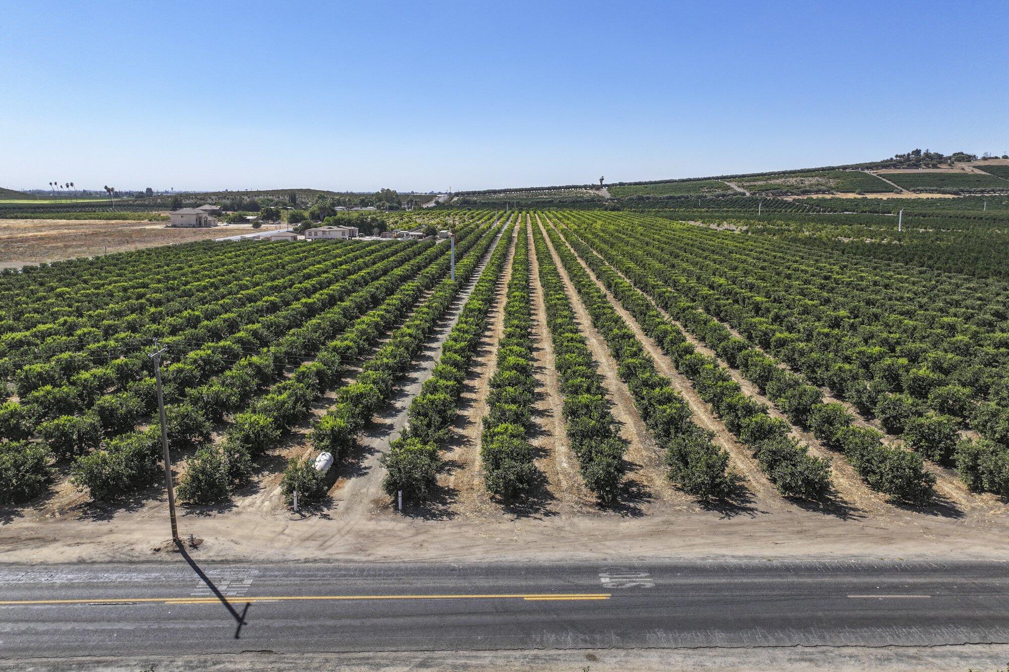 0 Ave. 424, Dinuba, CA 93618