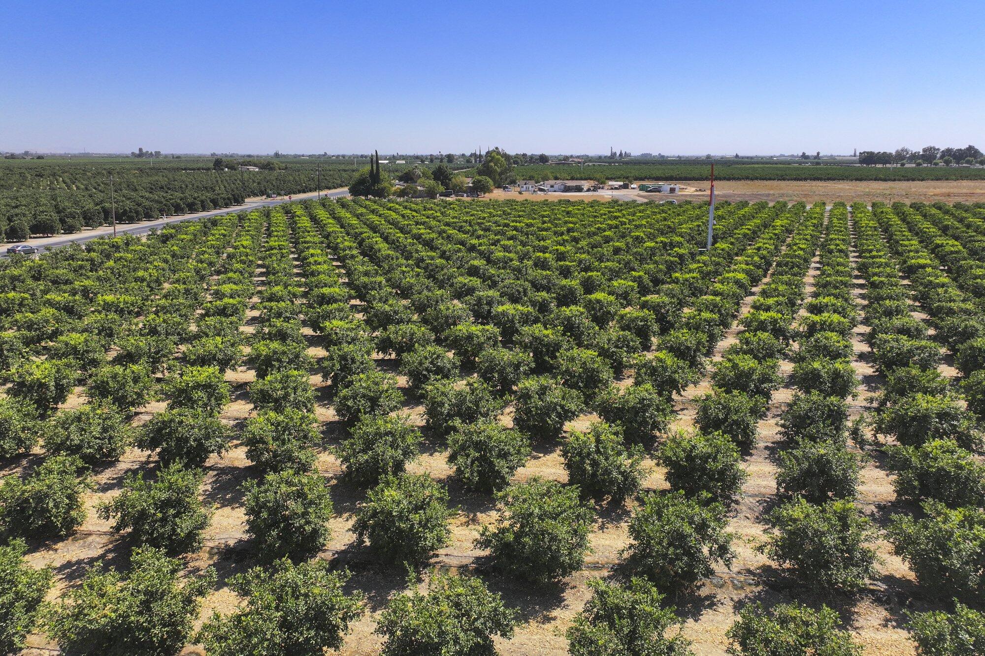 0 Ave. 424, Dinuba, CA 93618