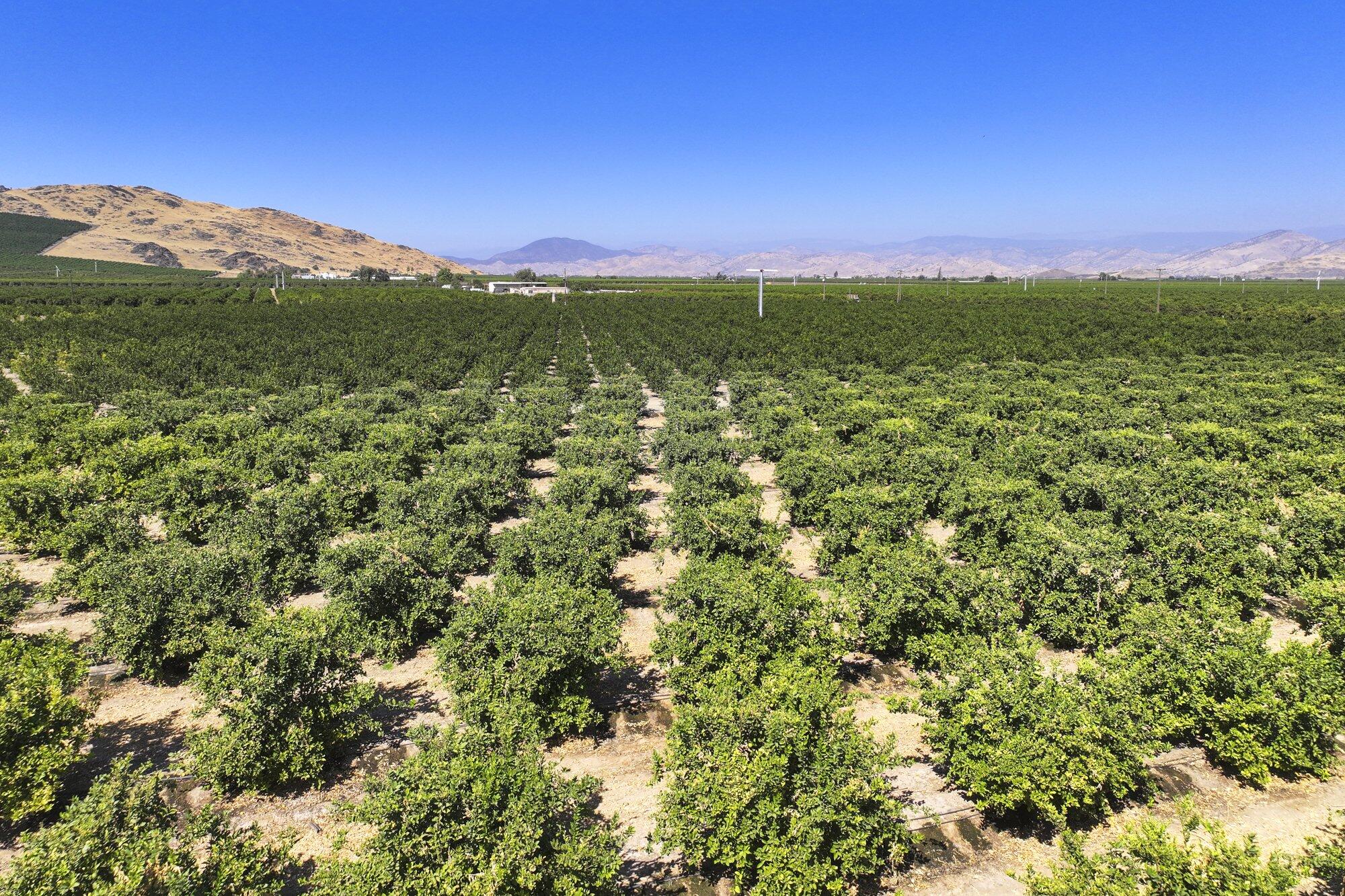 0 Ave. 424, Dinuba, CA 93618