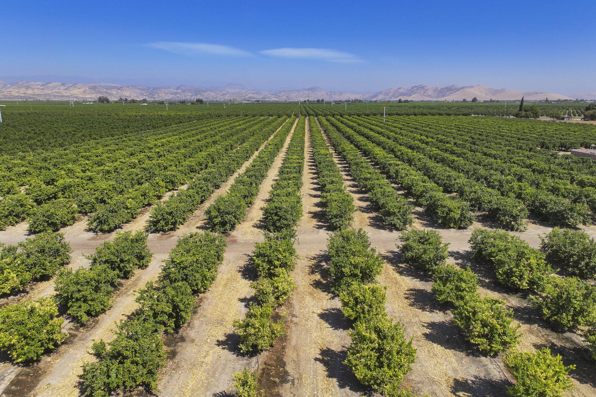 0 Ave. 424, Dinuba, CA 93618