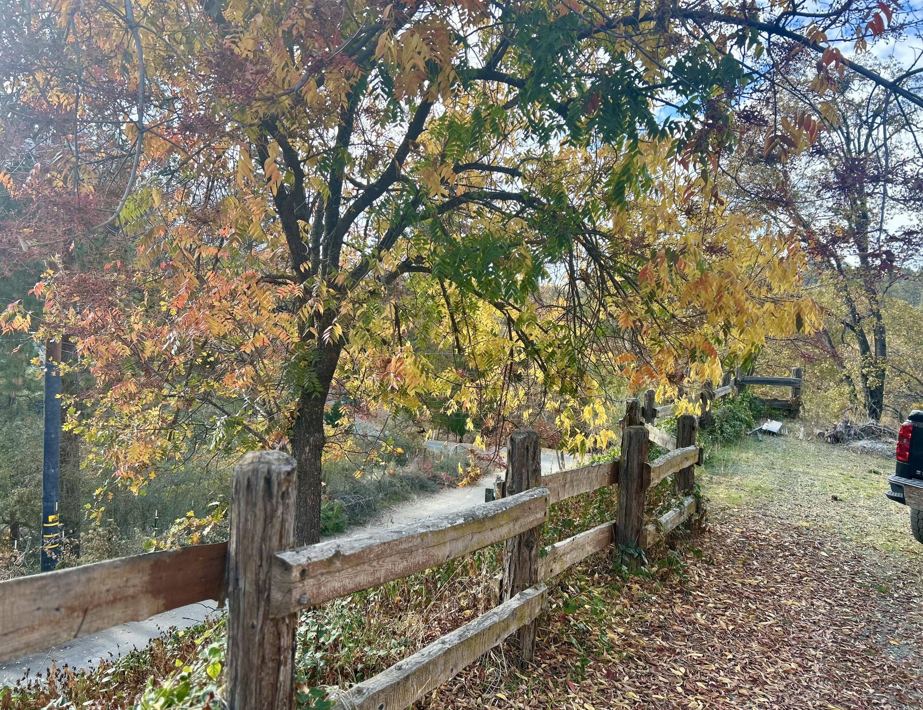 45306 Rocking K Dr, California Hot Springs, CA 93207