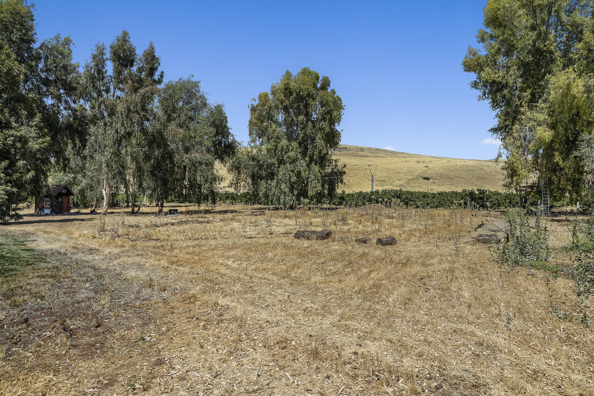 35802 Rd 180, Visalia, CA 93292