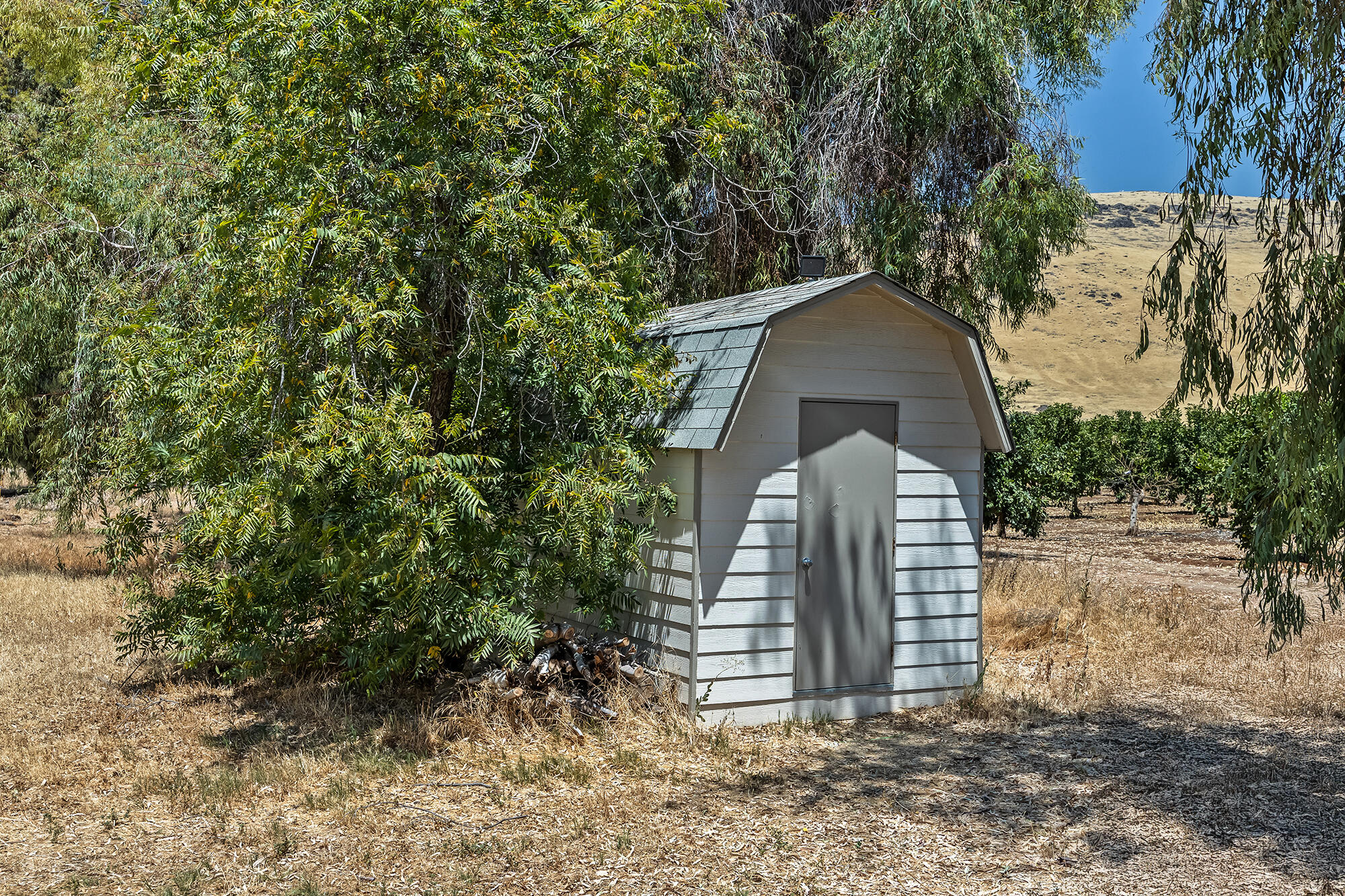 35802 Rd 180, Visalia, CA 93292