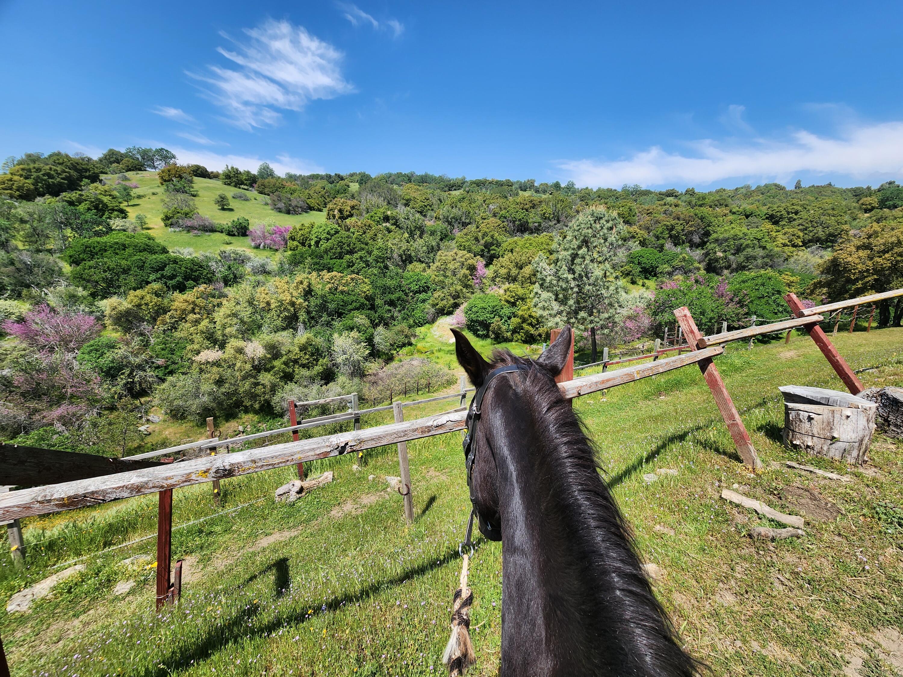 51090 Eshom Valley Dr Dr, Badger, CA 93603