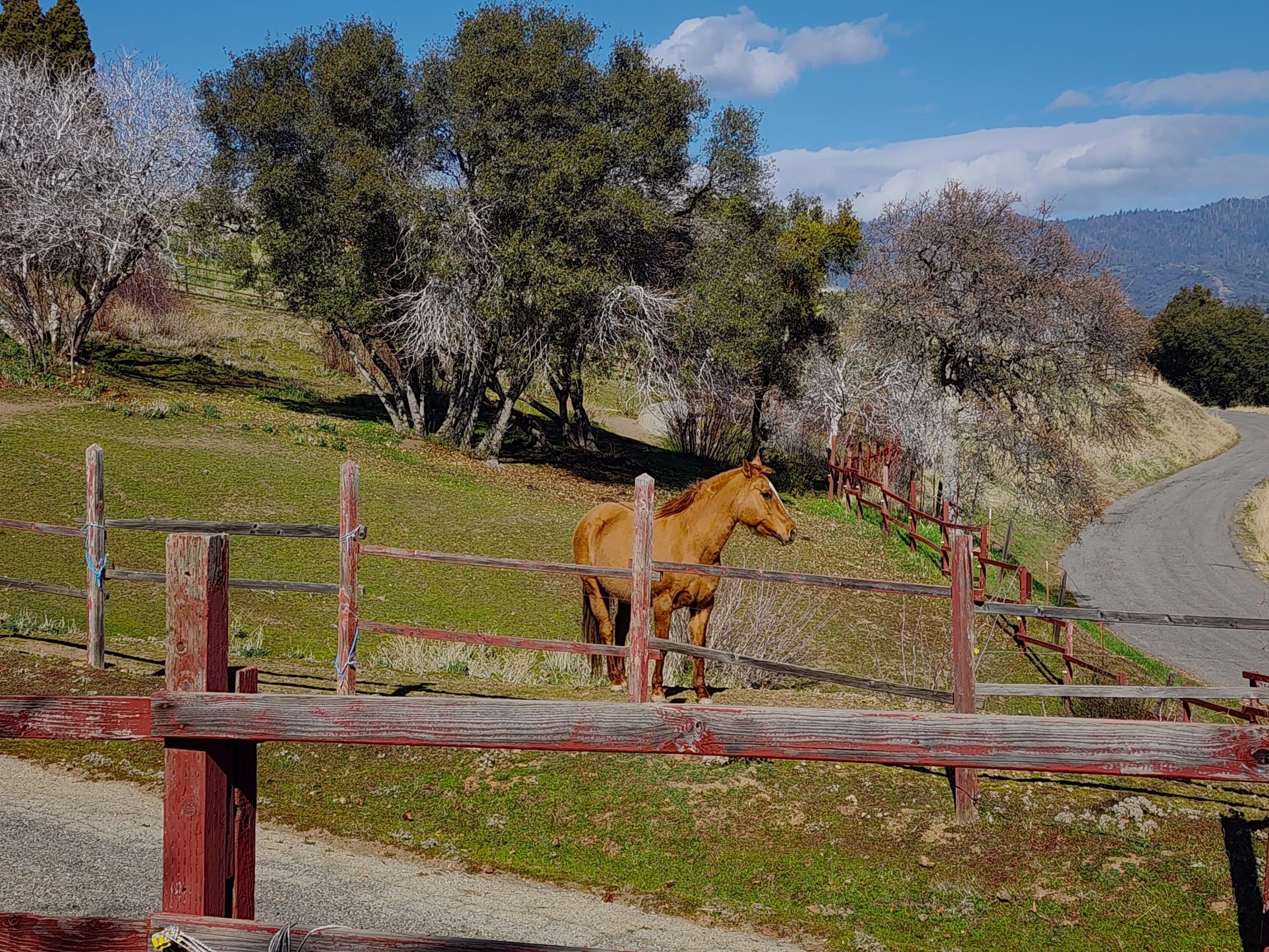 51090 Eshom Valley Dr Dr, Badger, CA 93603