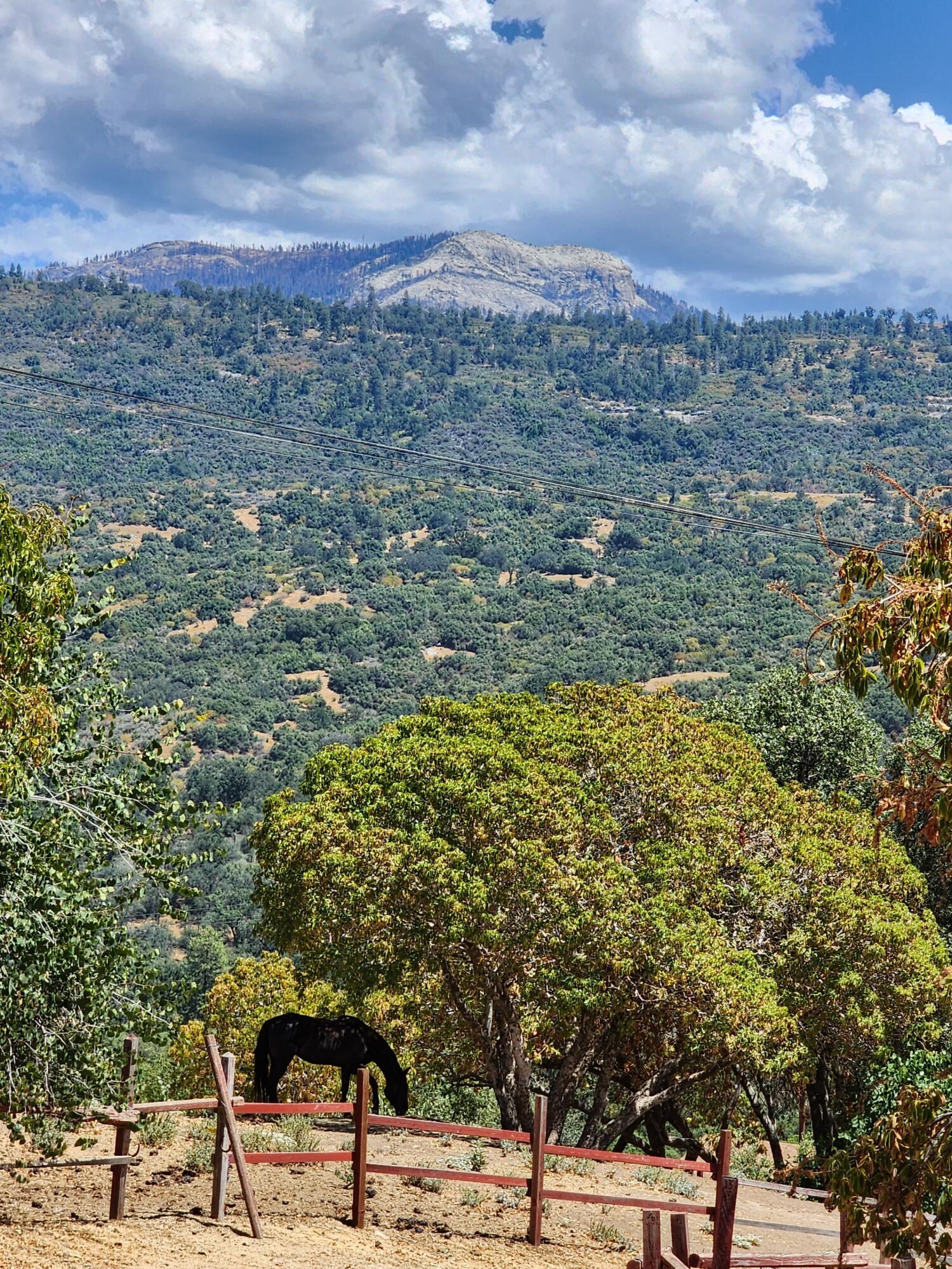 51090 Eshom Valley Dr Dr, Badger, CA 93603