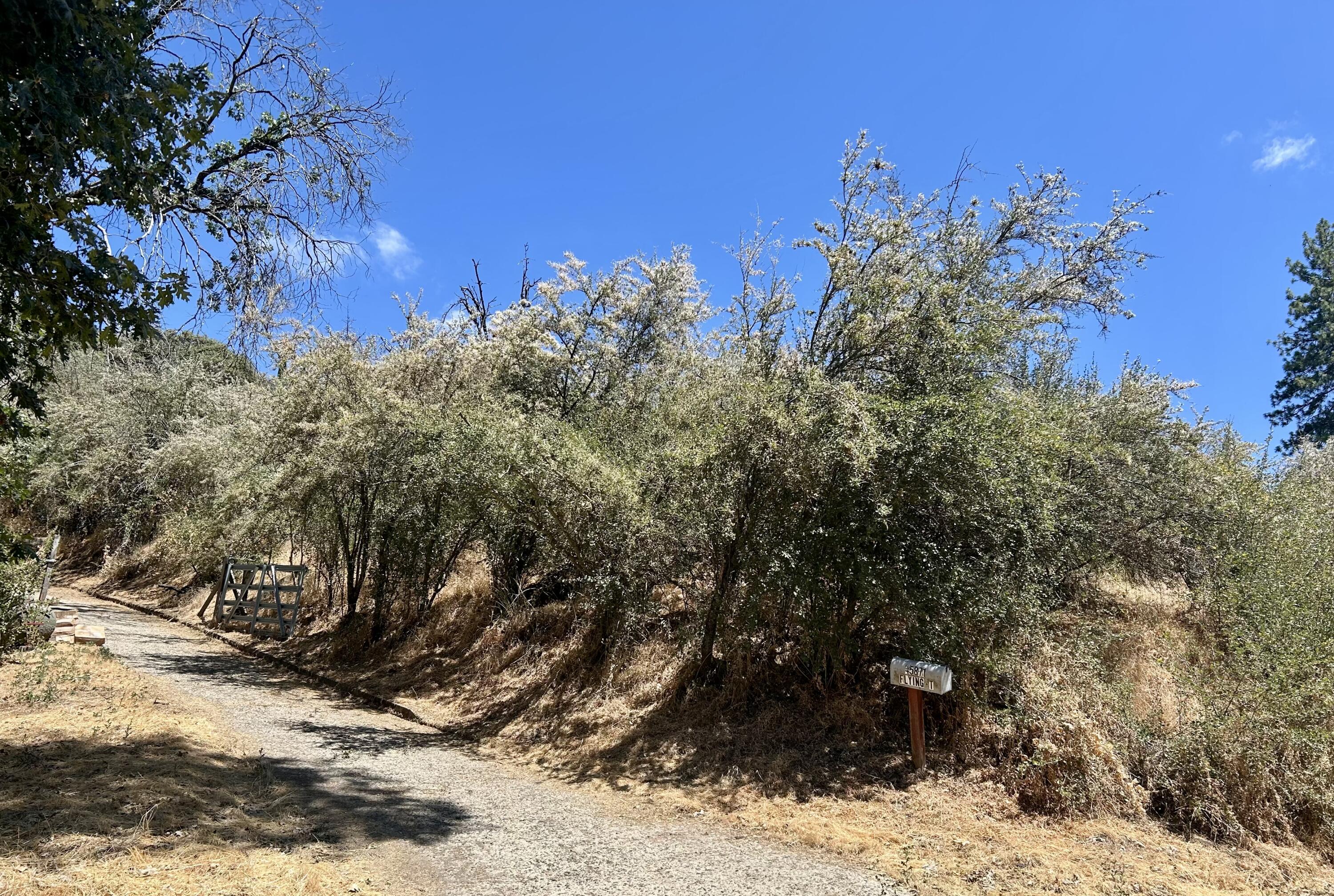 Lot 52 Flying T Dr, California Hot Springs, CA 93207
