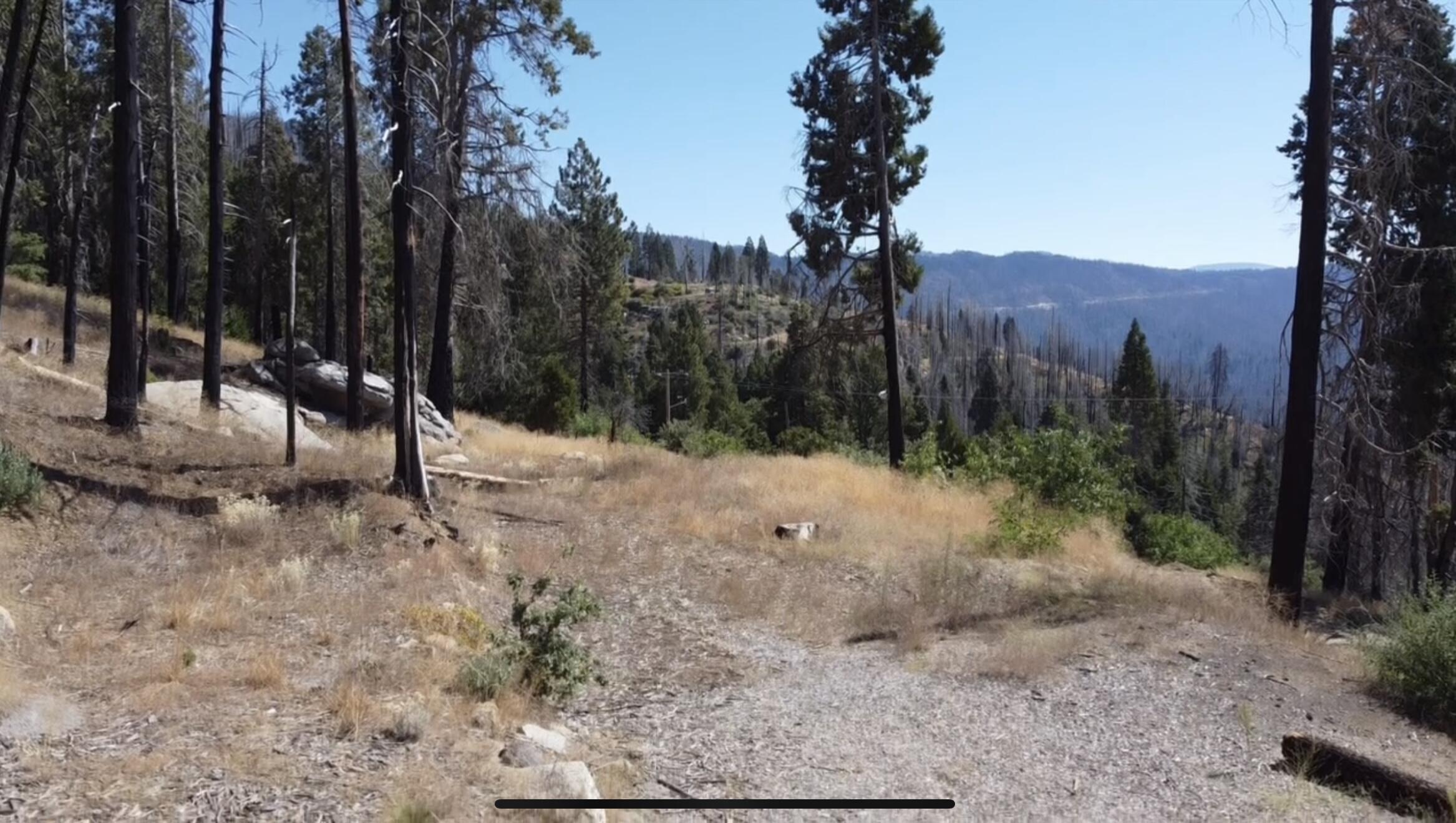 52762 Redwood Dr, Camp Nelson, CA 93265