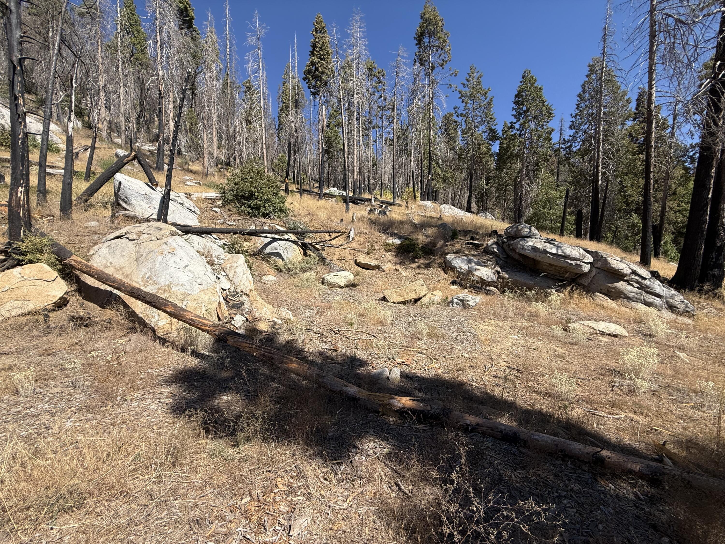 52762 Redwood Dr, Camp Nelson, CA 93265