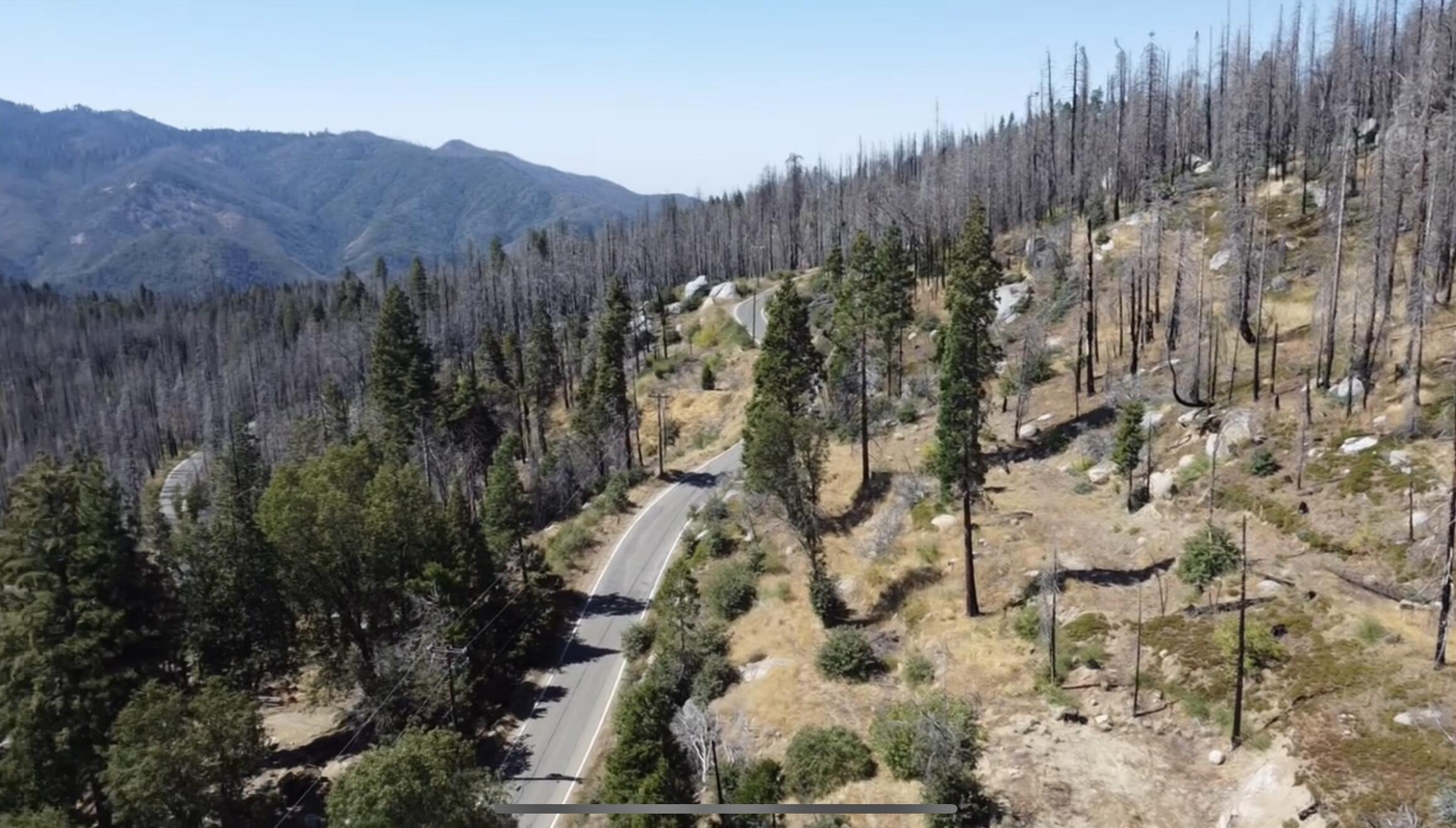 52762 Redwood Dr, Camp Nelson, CA 93265