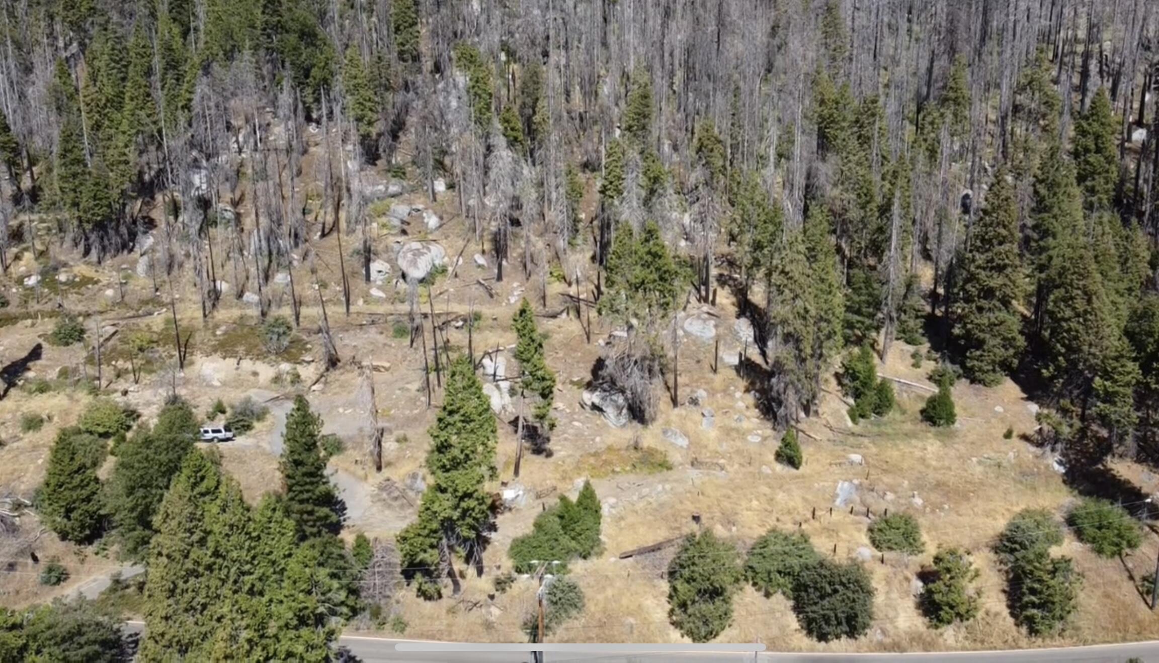 52762 Redwood Dr, Camp Nelson, CA 93265