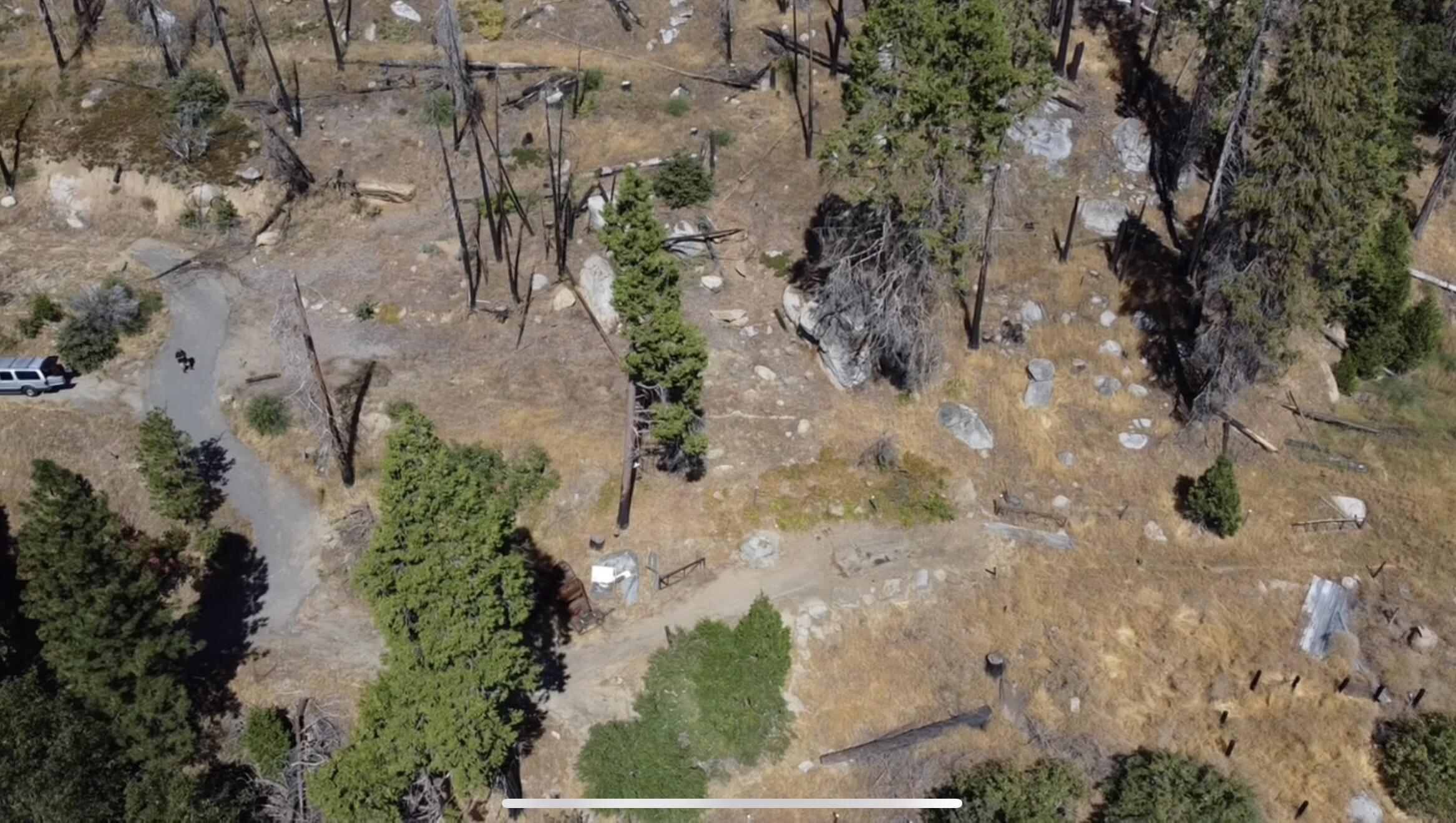 52762 Redwood Dr, Camp Nelson, CA 93265