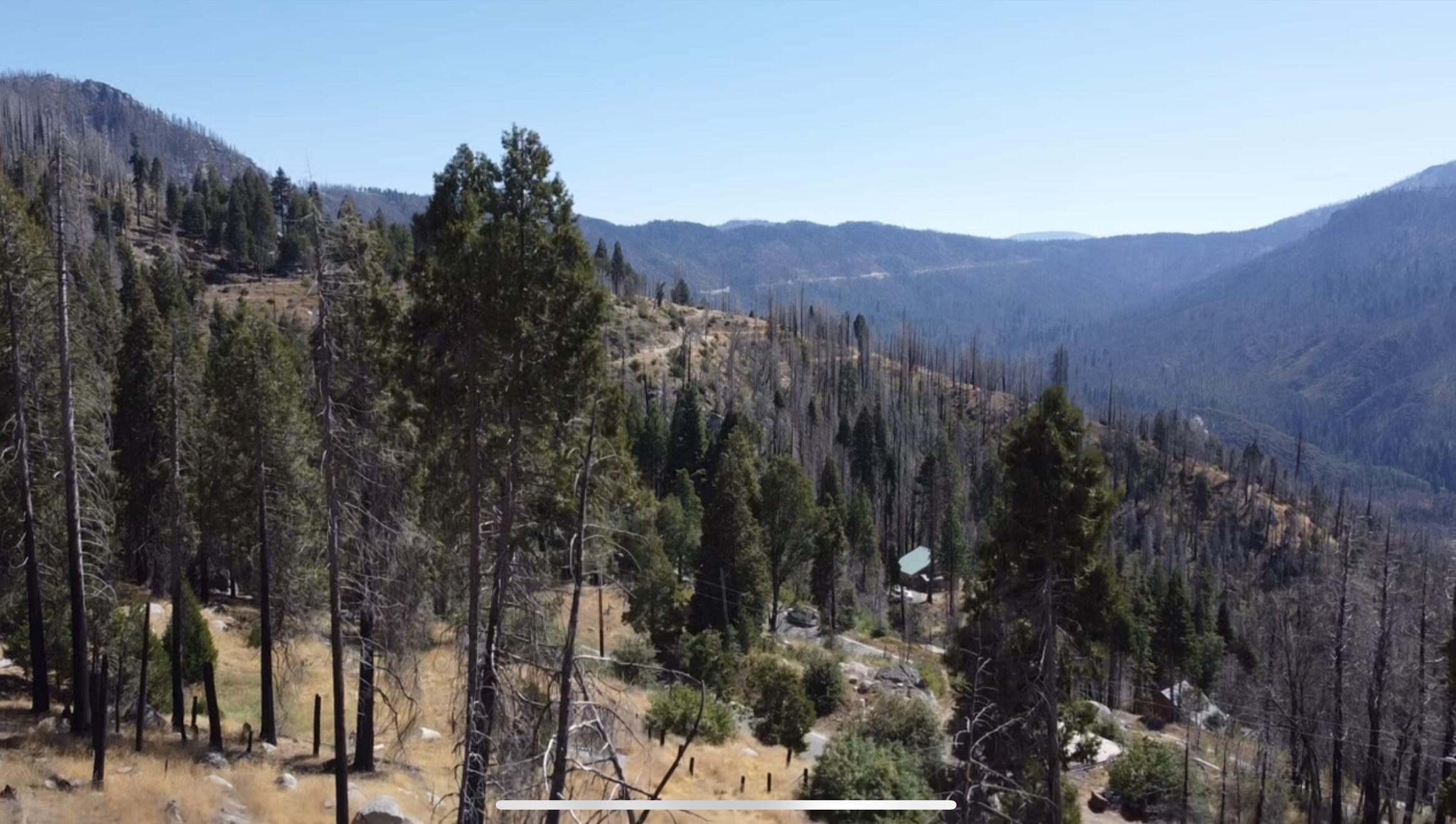 52762 Redwood Dr, Camp Nelson, CA 93265