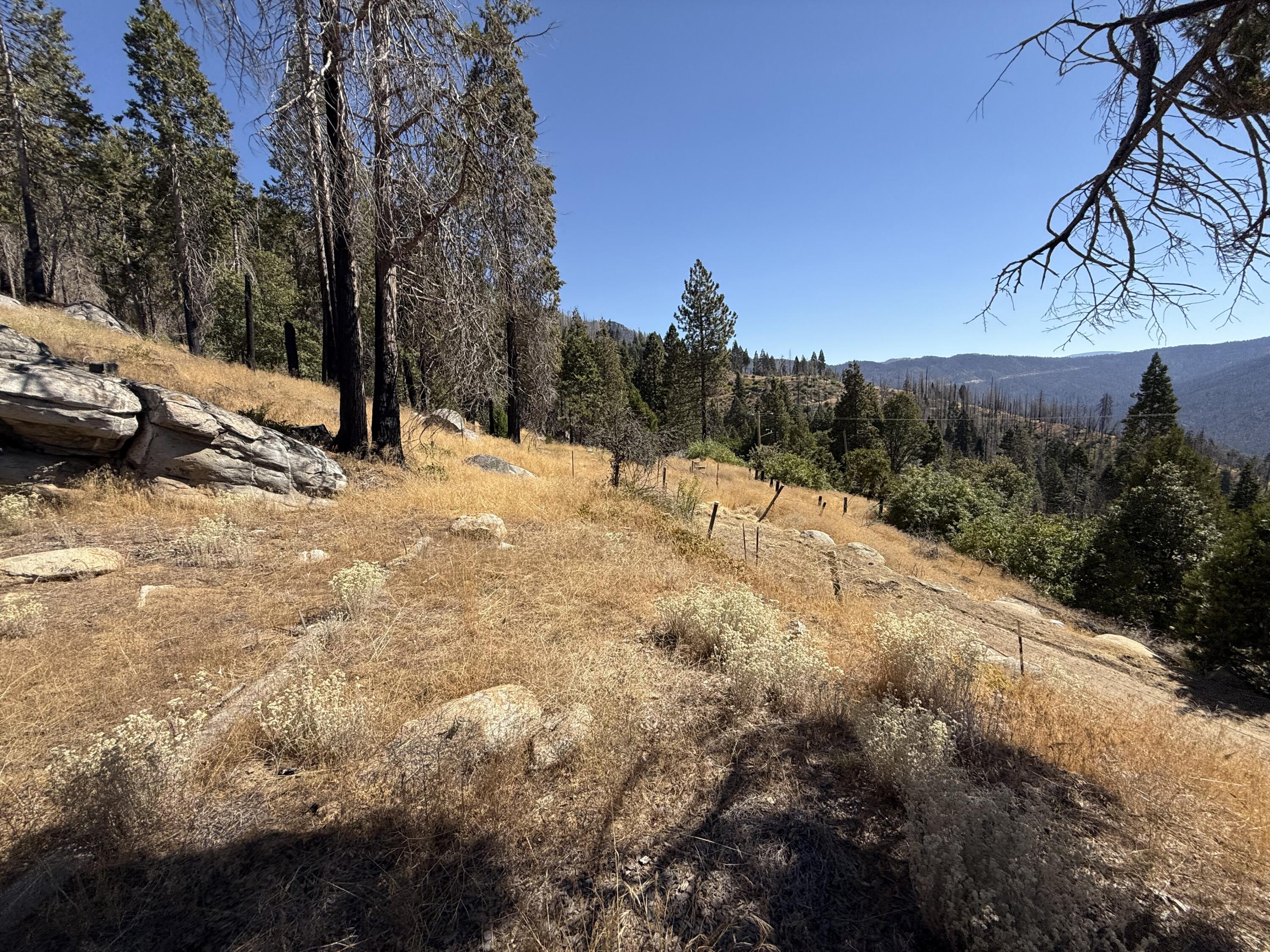 52762 Redwood Dr, Camp Nelson, CA 93265