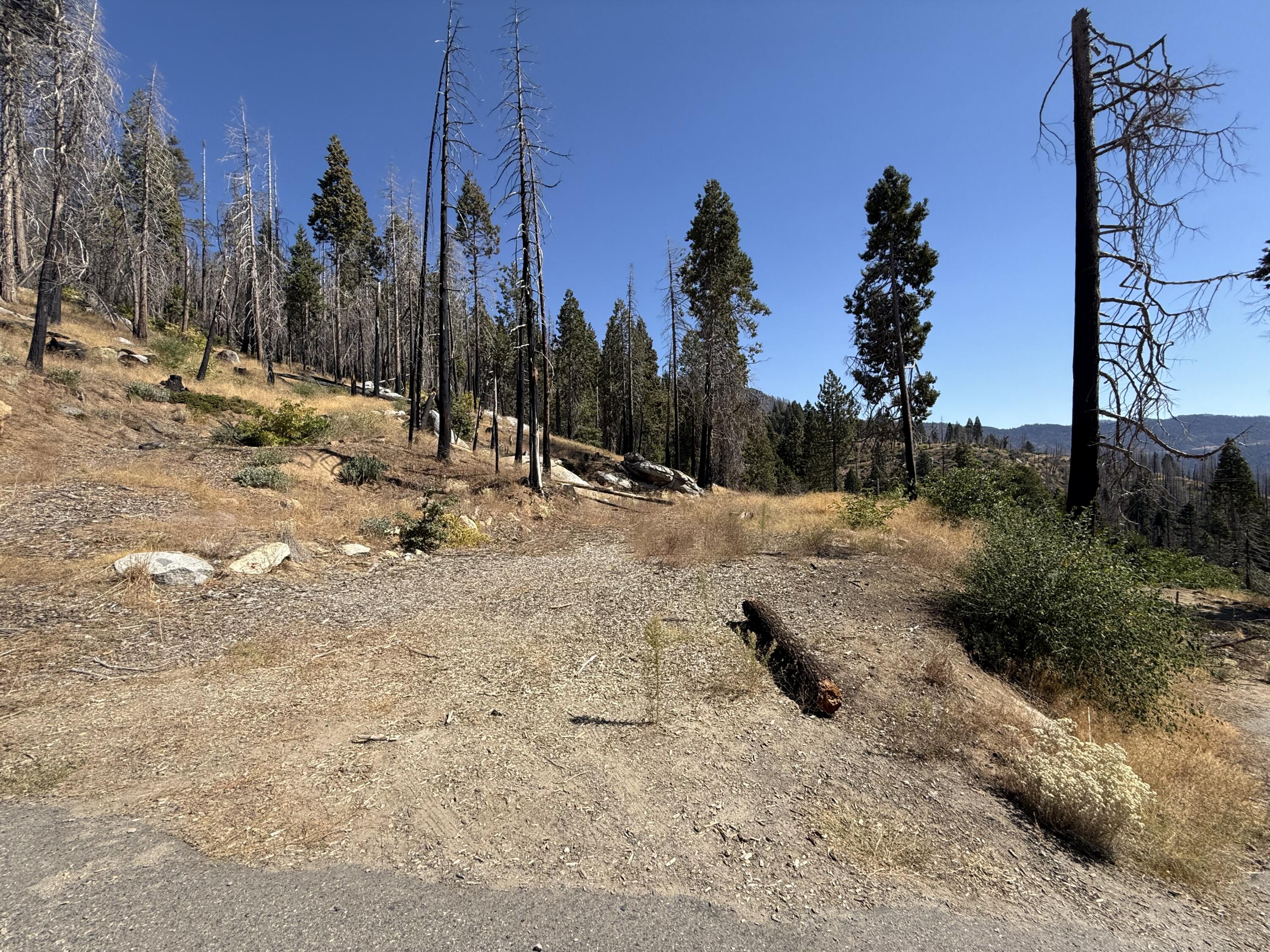 52762 Redwood Dr, Camp Nelson, CA 93265