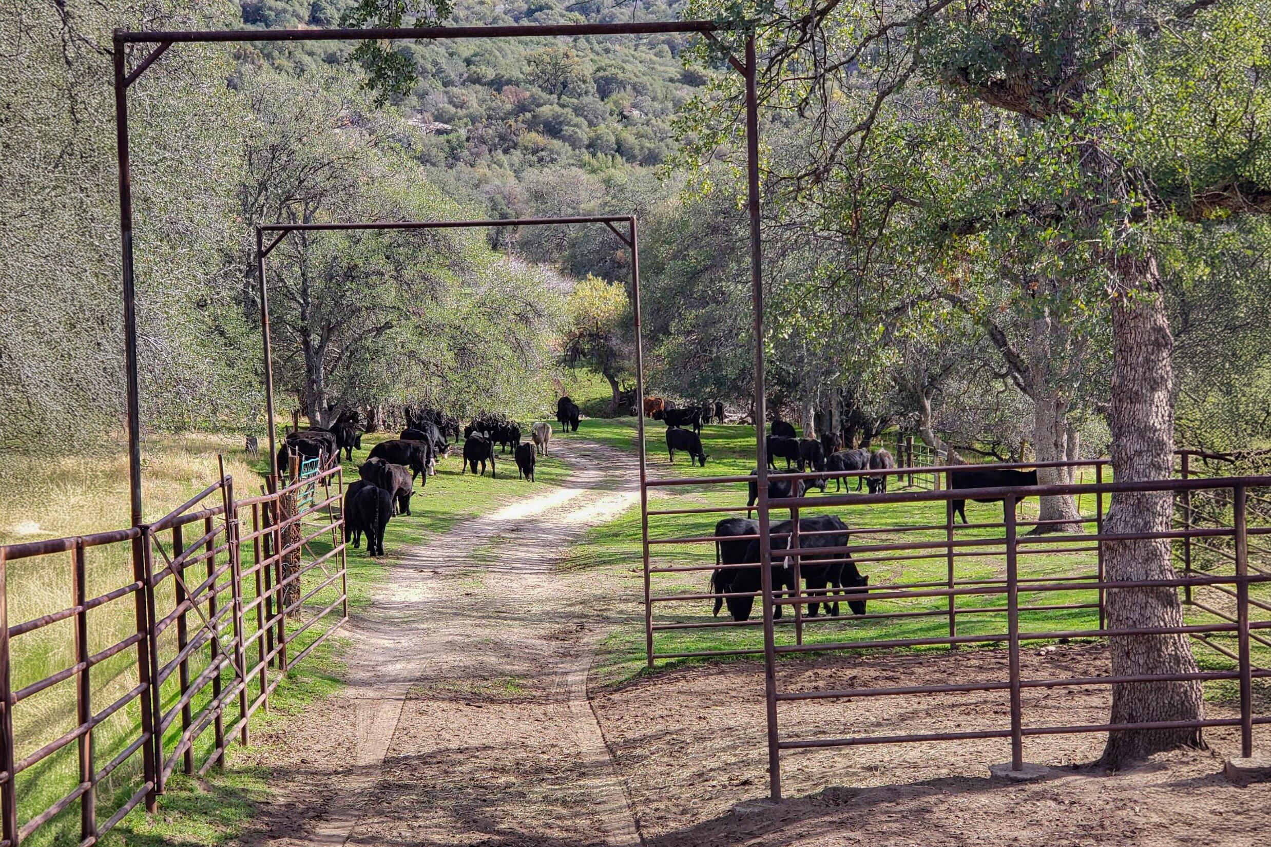 0 Drive Creek Dr, Badger, CA 93603