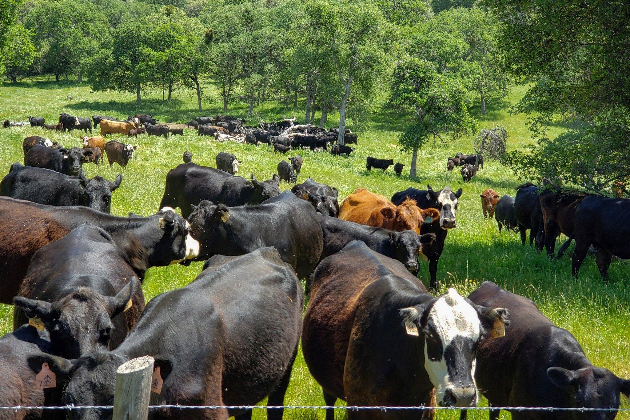 0 Drive Creek Dr, Badger, CA 93603