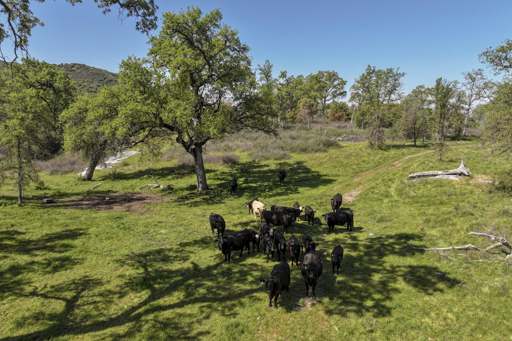 0 Drive Creek Dr, Badger, CA 93603