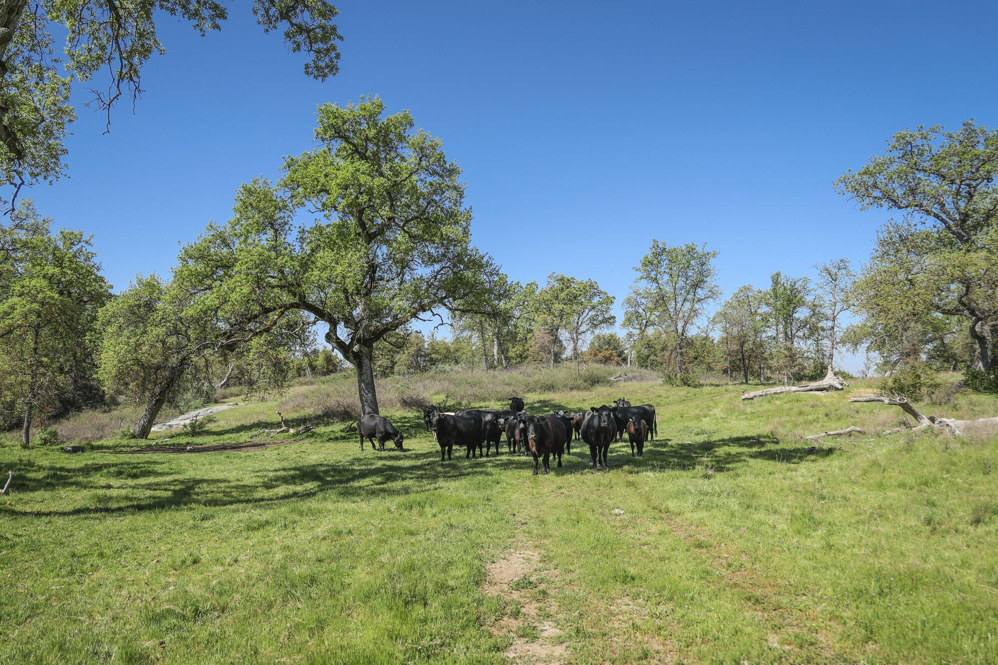 0 Drive Creek Dr, Badger, CA 93603