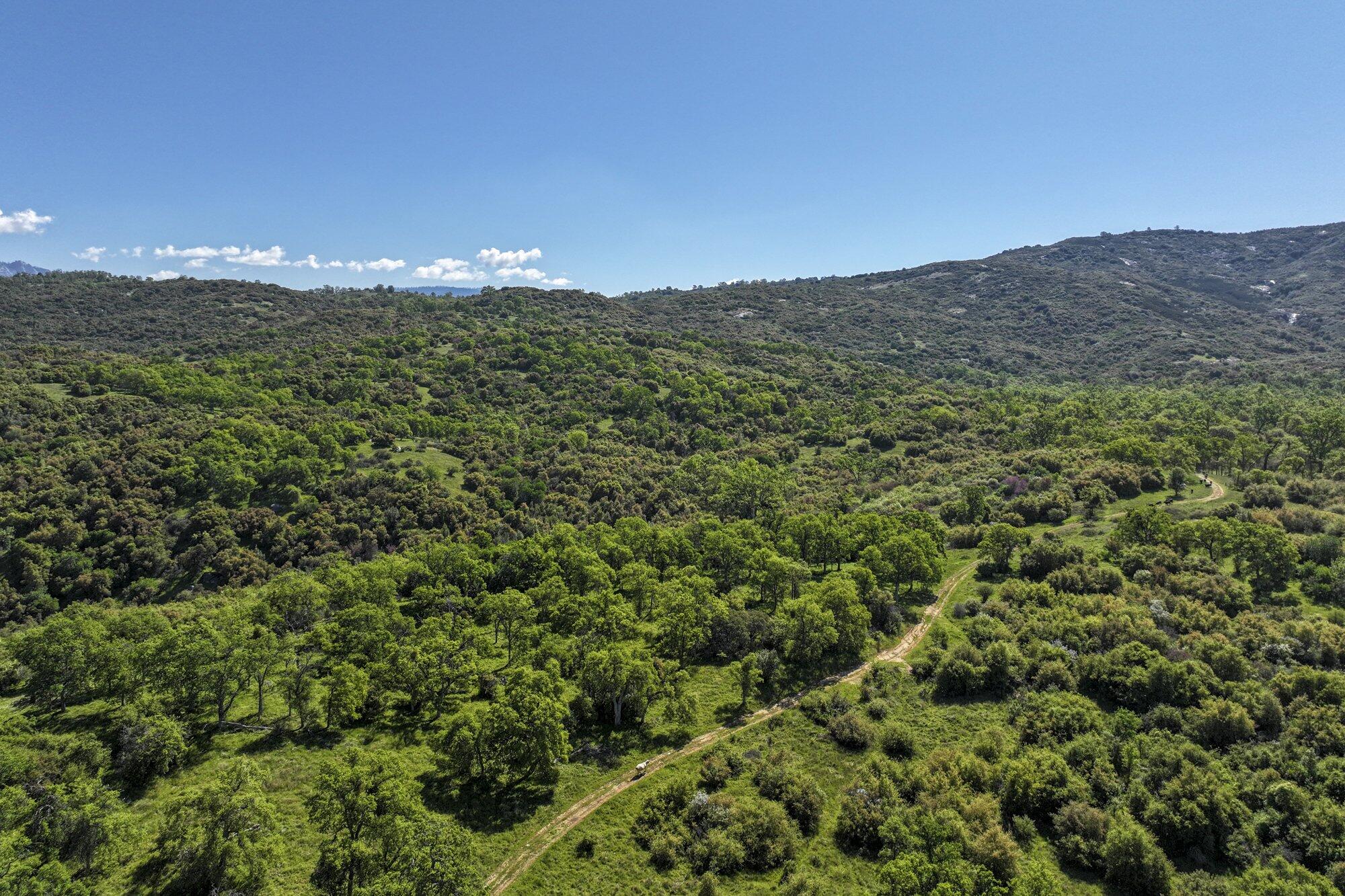 0 Drive Creek Dr, Badger, CA 93603