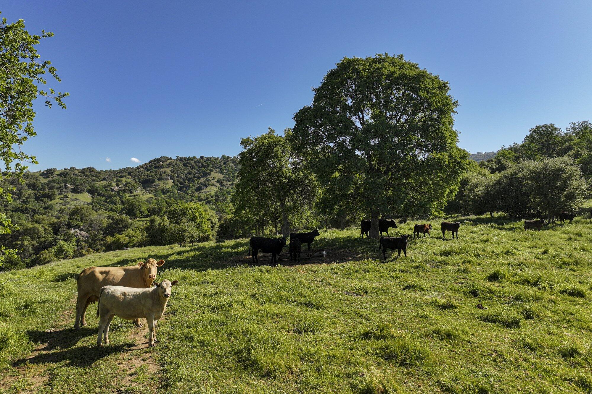 0 Drive Creek Dr, Badger, CA 93603