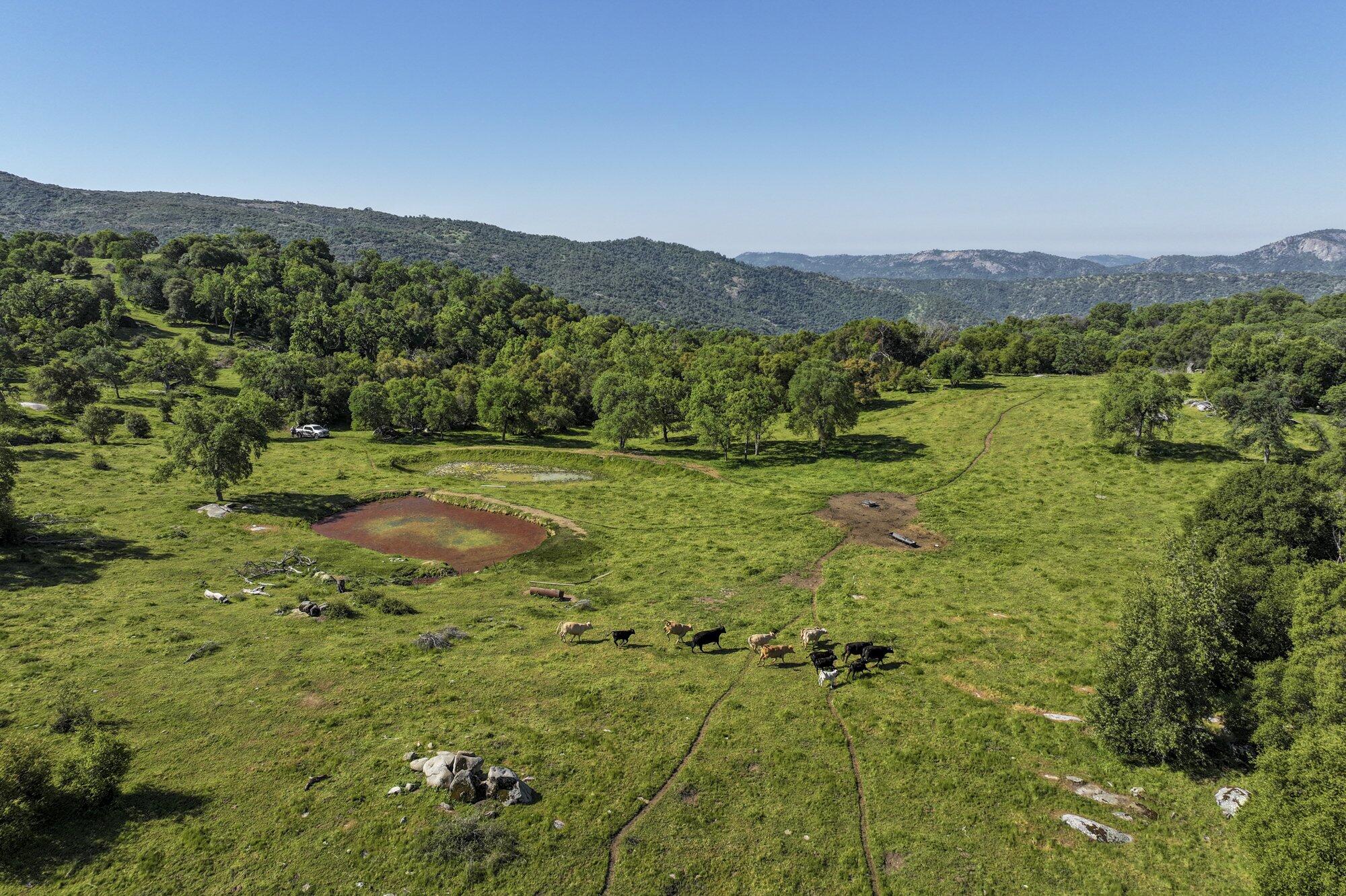 0 Drive Creek Dr, Badger, CA 93603