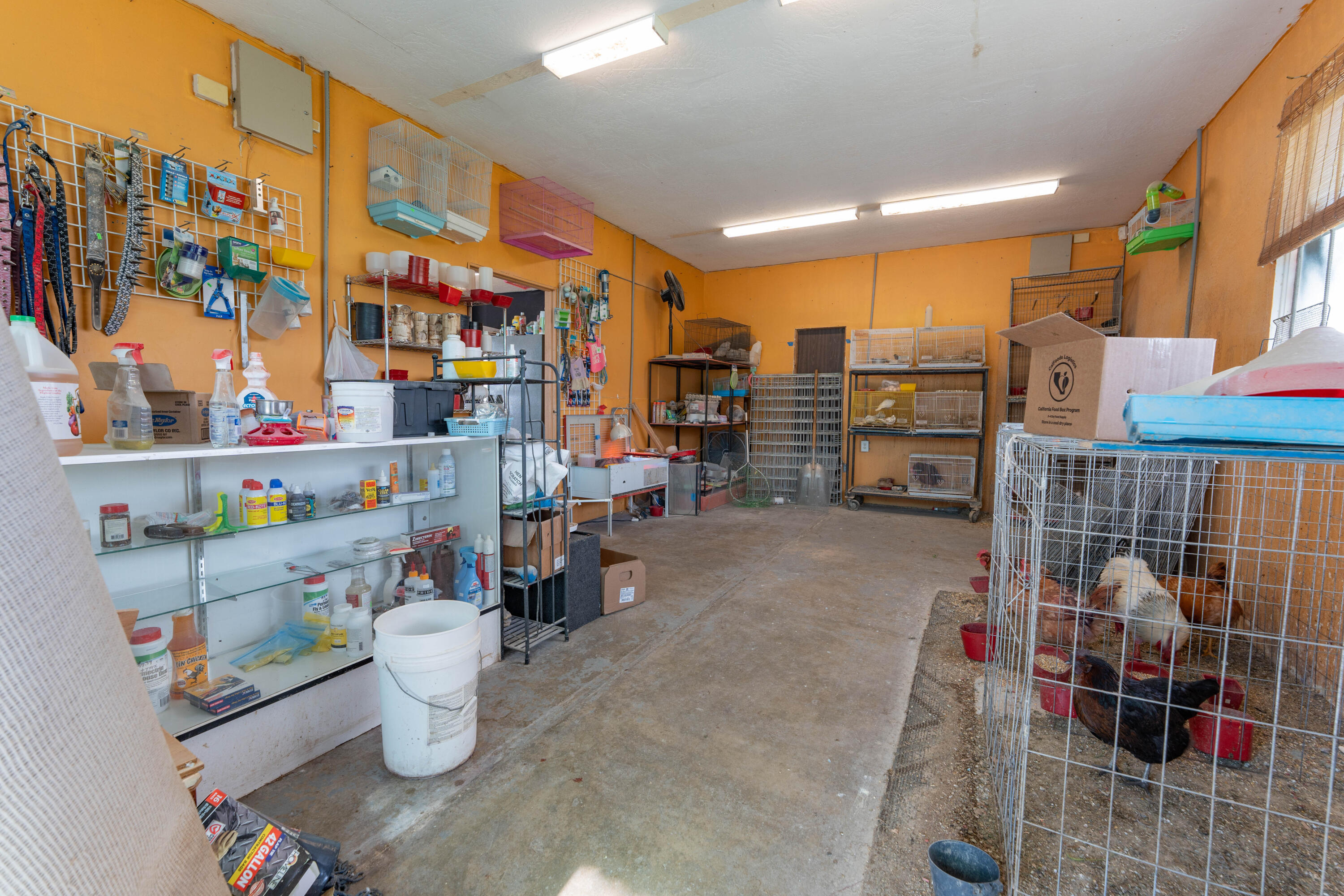 20830 Ave 152, Porterville, CA 93257