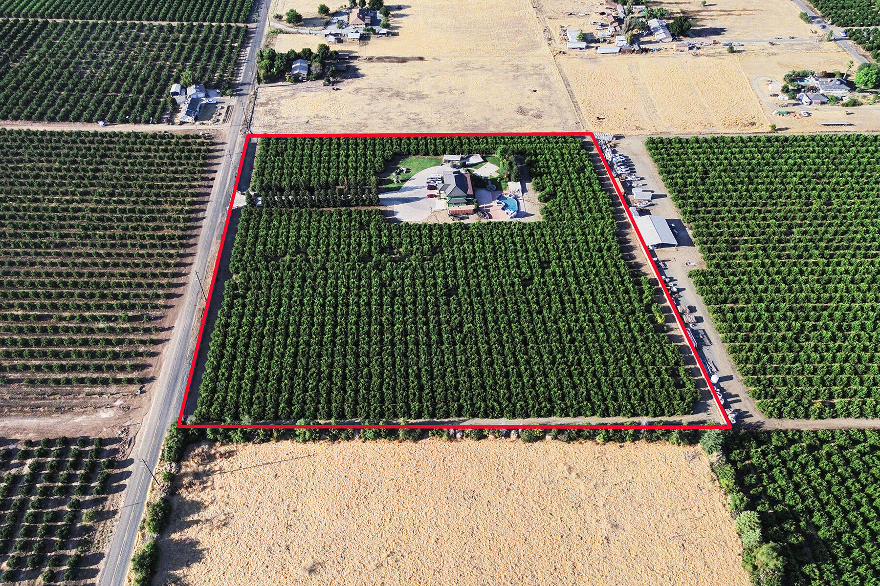 21031 Rd 256, Strathmore, CA 93267