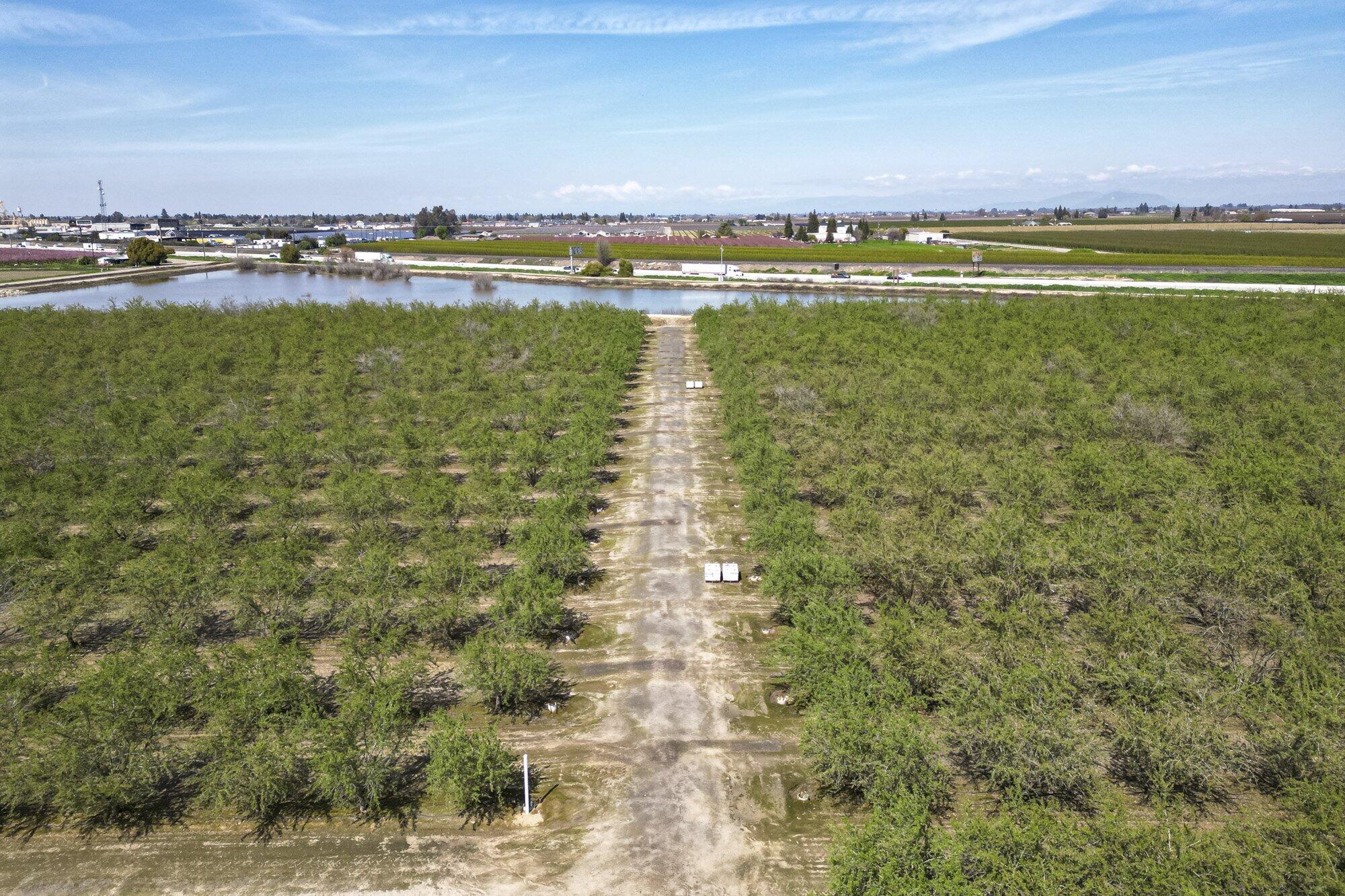 1710 Ave 388, Kingsburg, CA 93631