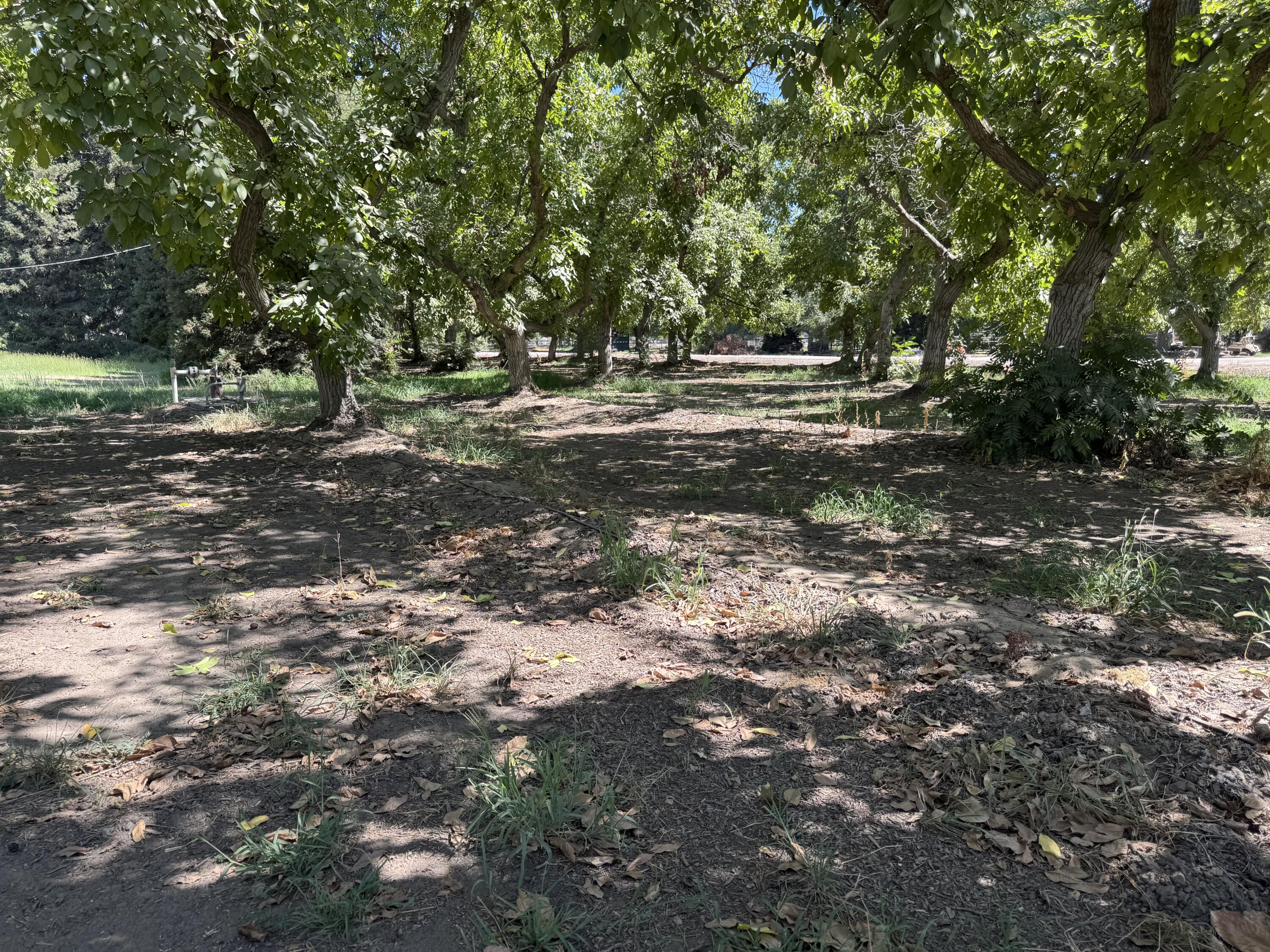 15061 Ave 288, Visalia, CA 93292