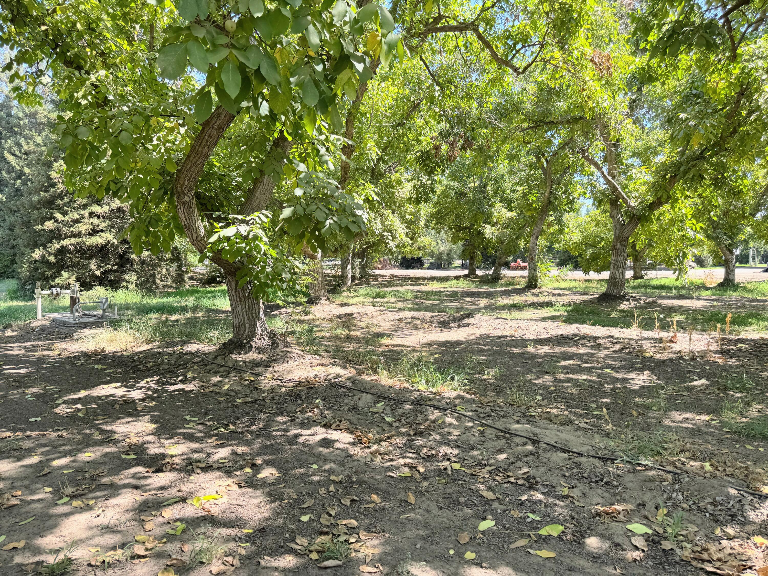 15061 Ave 288, Visalia, CA 93292