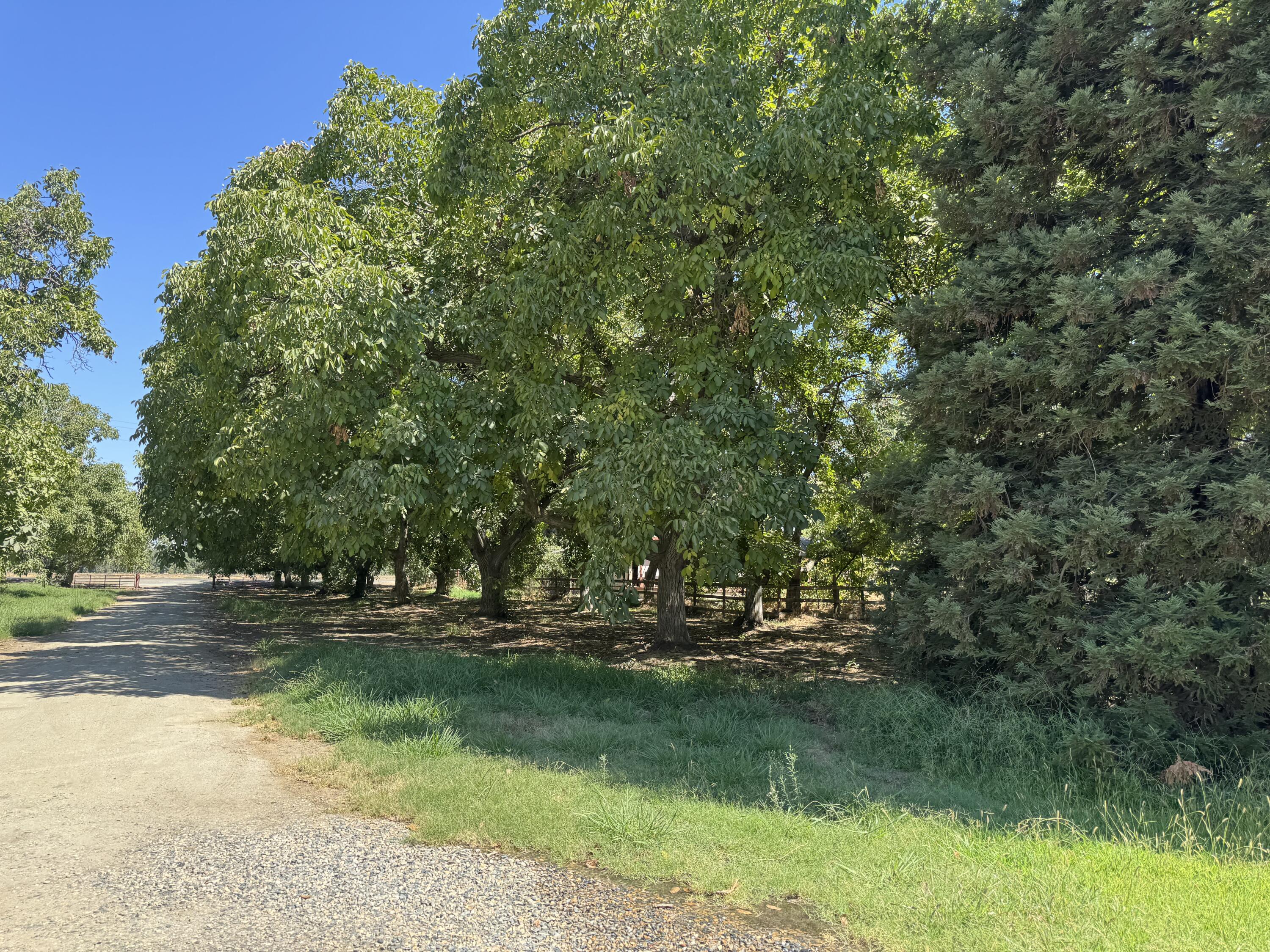 15061 Ave 288, Visalia, CA 93292