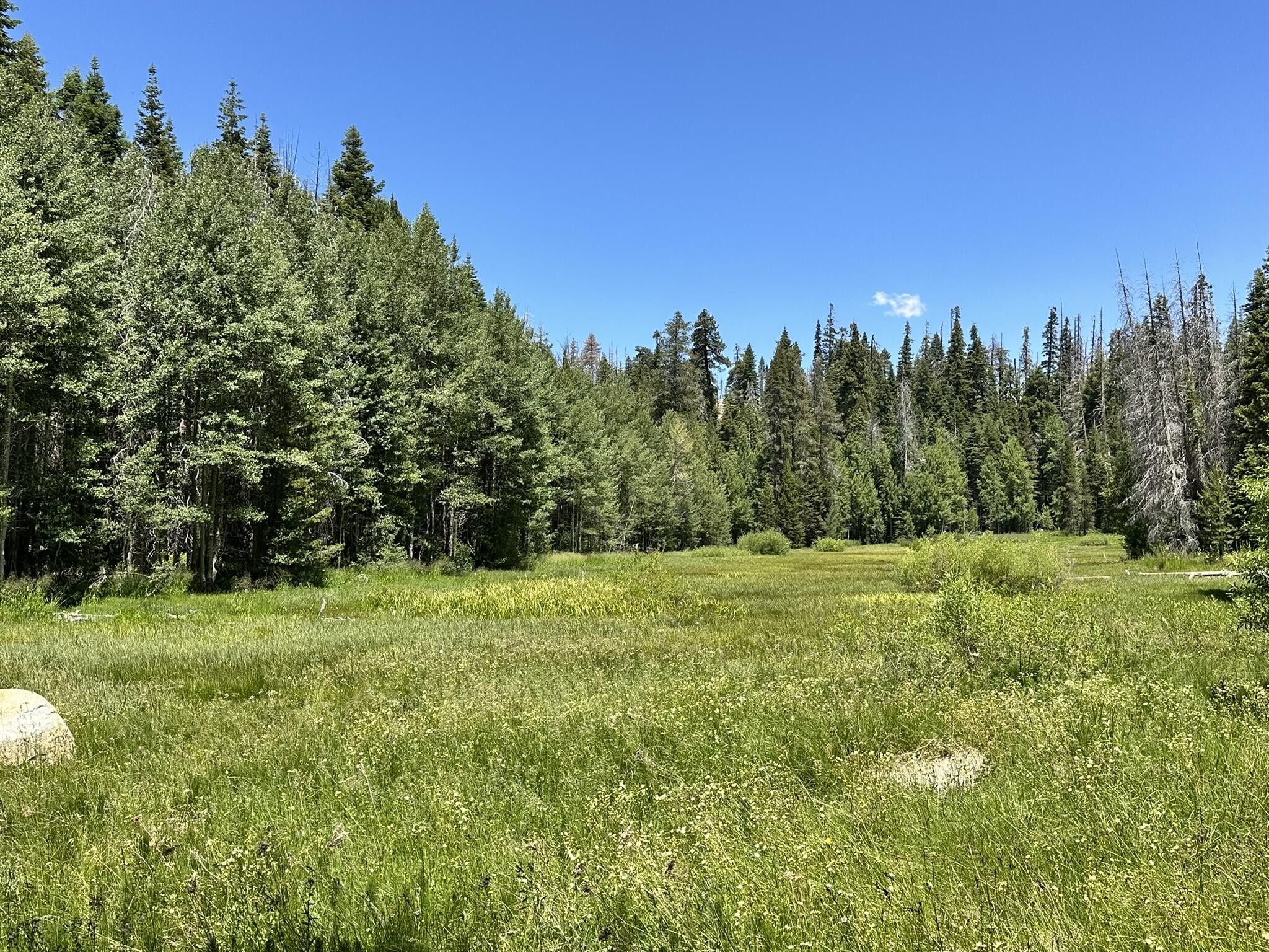 57784 Fawn Dr, Springville, CA 93265