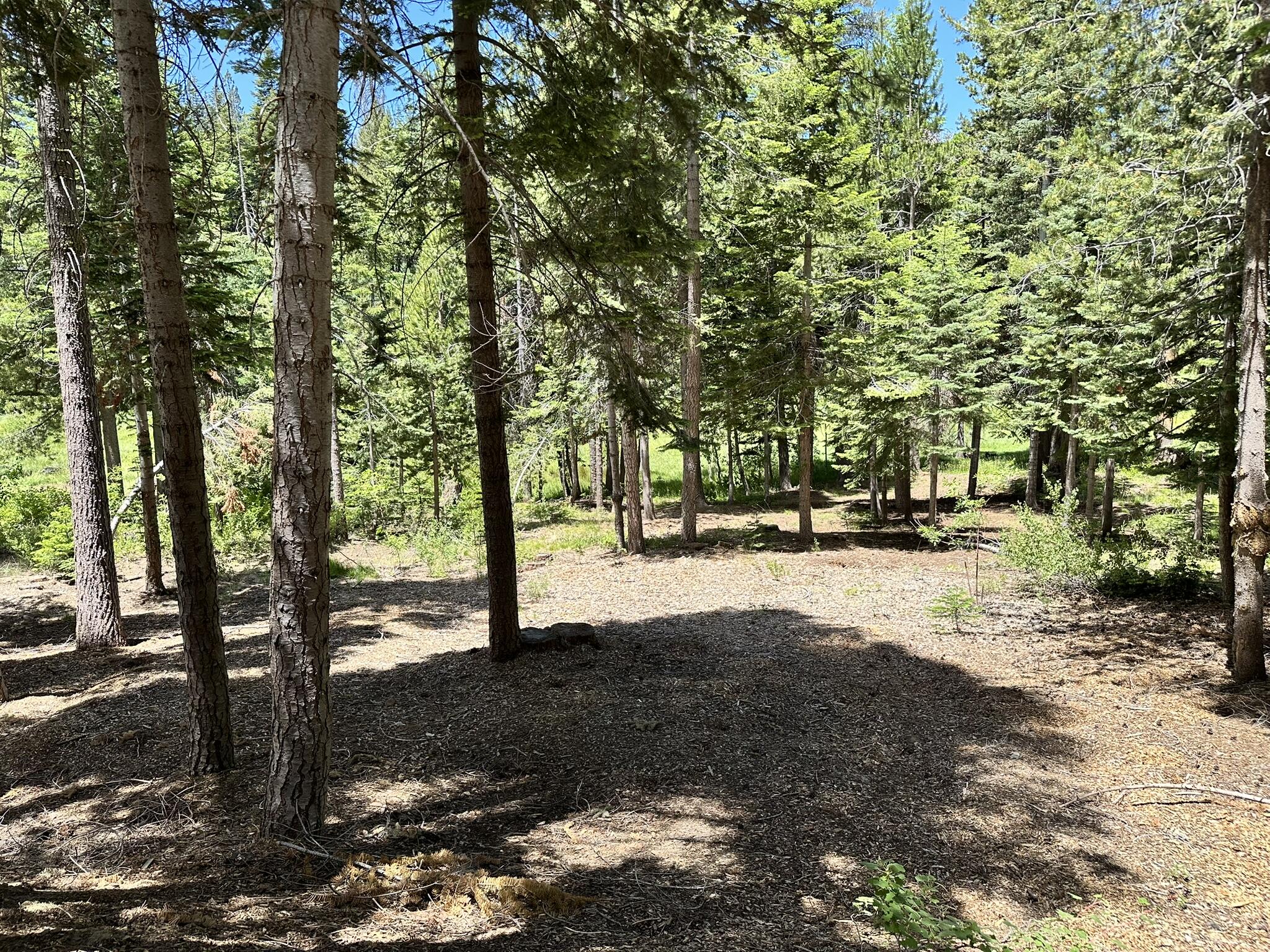 57784 Fawn Dr, Springville, CA 93265